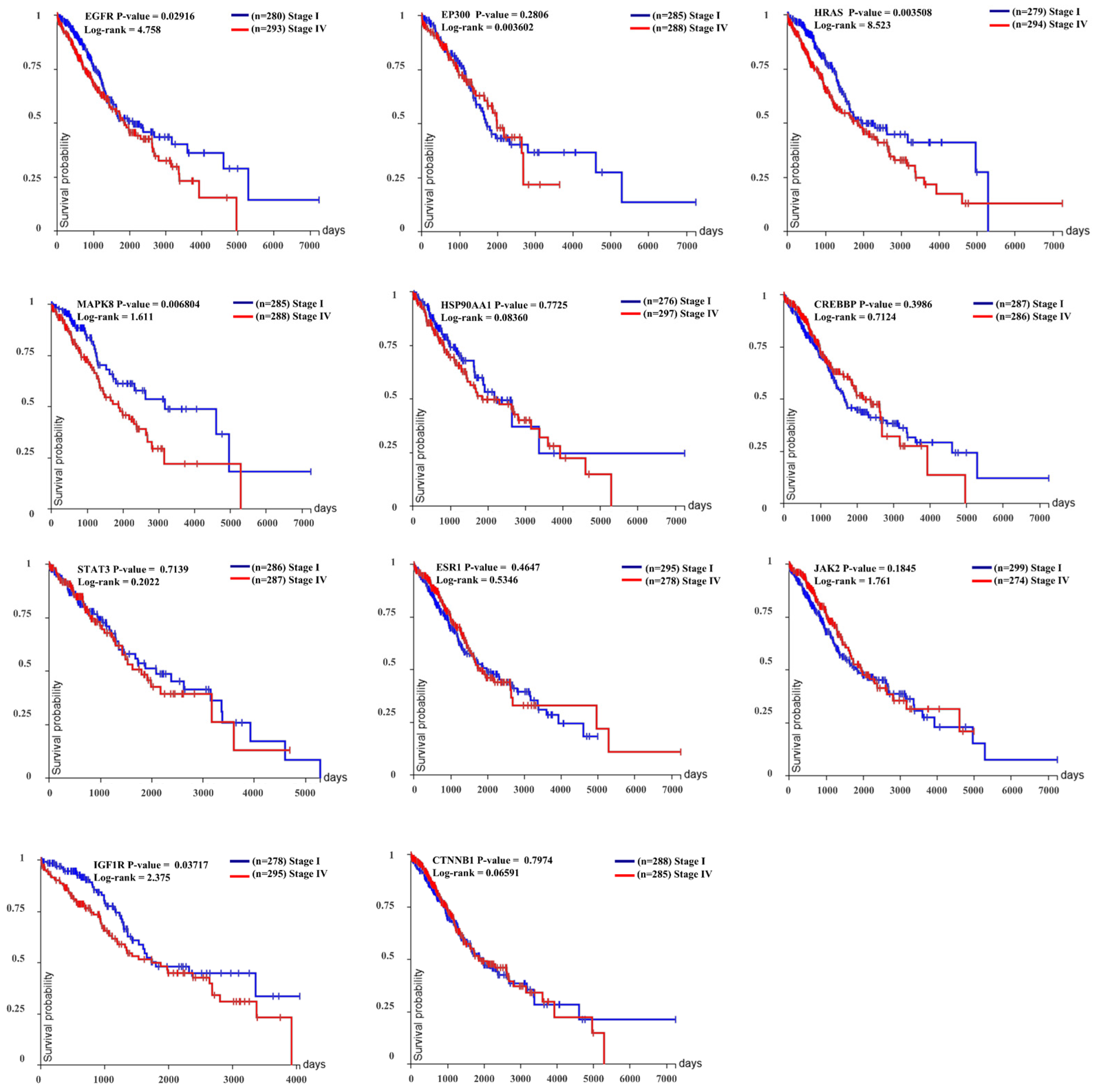 Ijms 26 10191 g007 Ijms 26 10191 g007