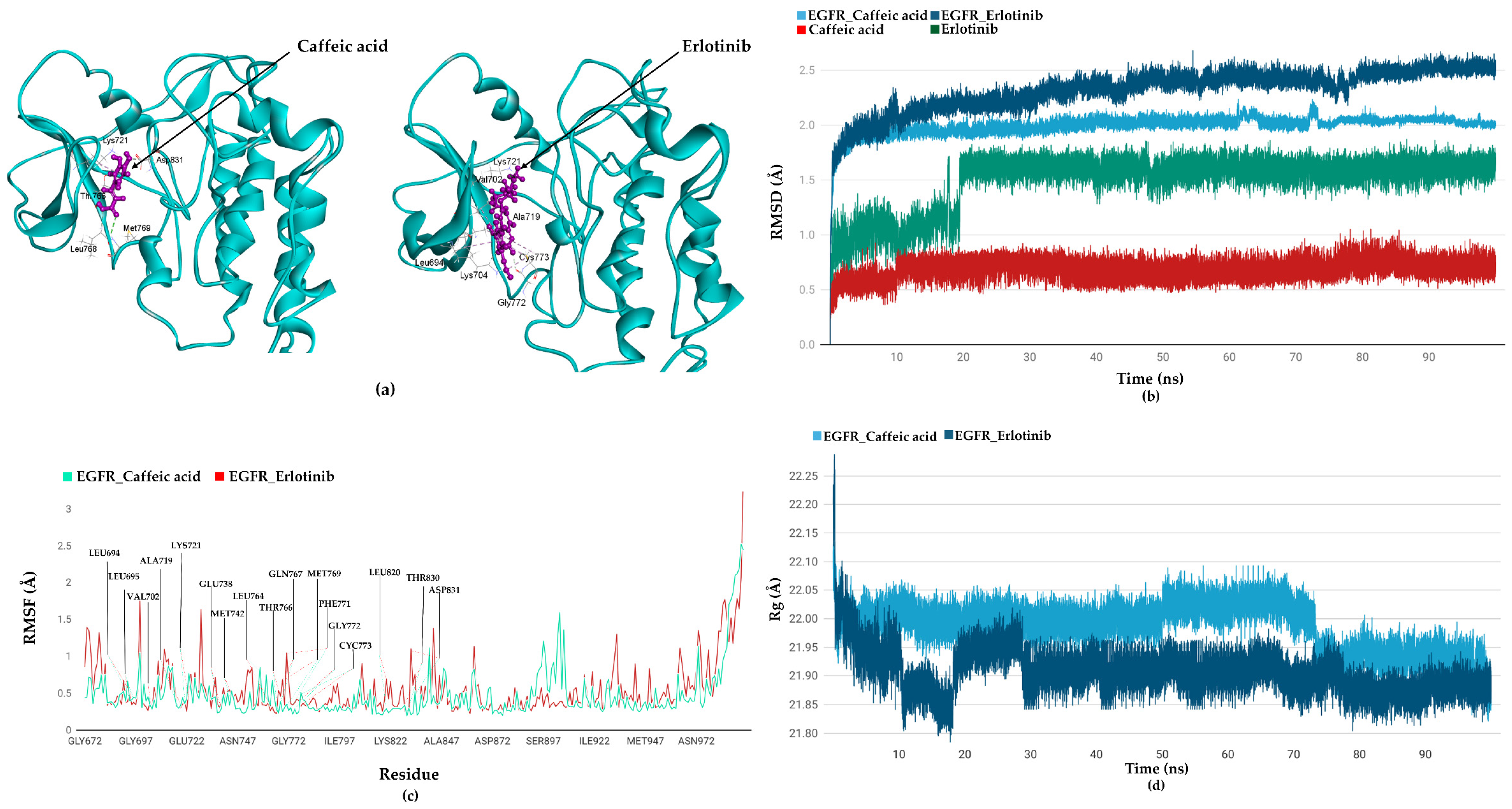 Ijms 26 10191 g009 Ijms 26 10191 g009