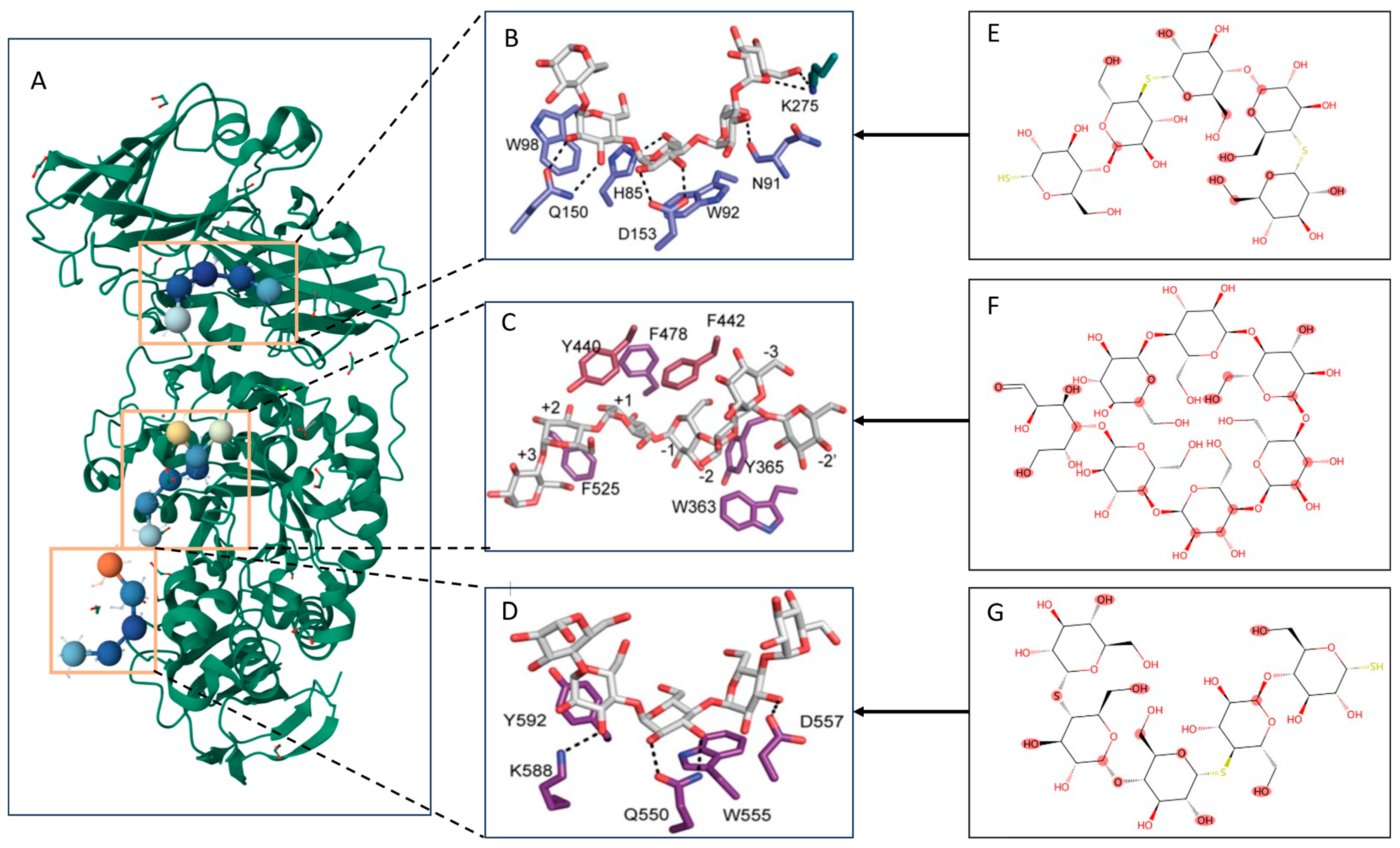 Ijms 26 10194 g004 Ijms 26 10194 g004