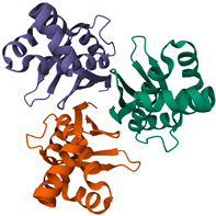 Ijms 26 10194 i002 Ijms 26 10194 i002