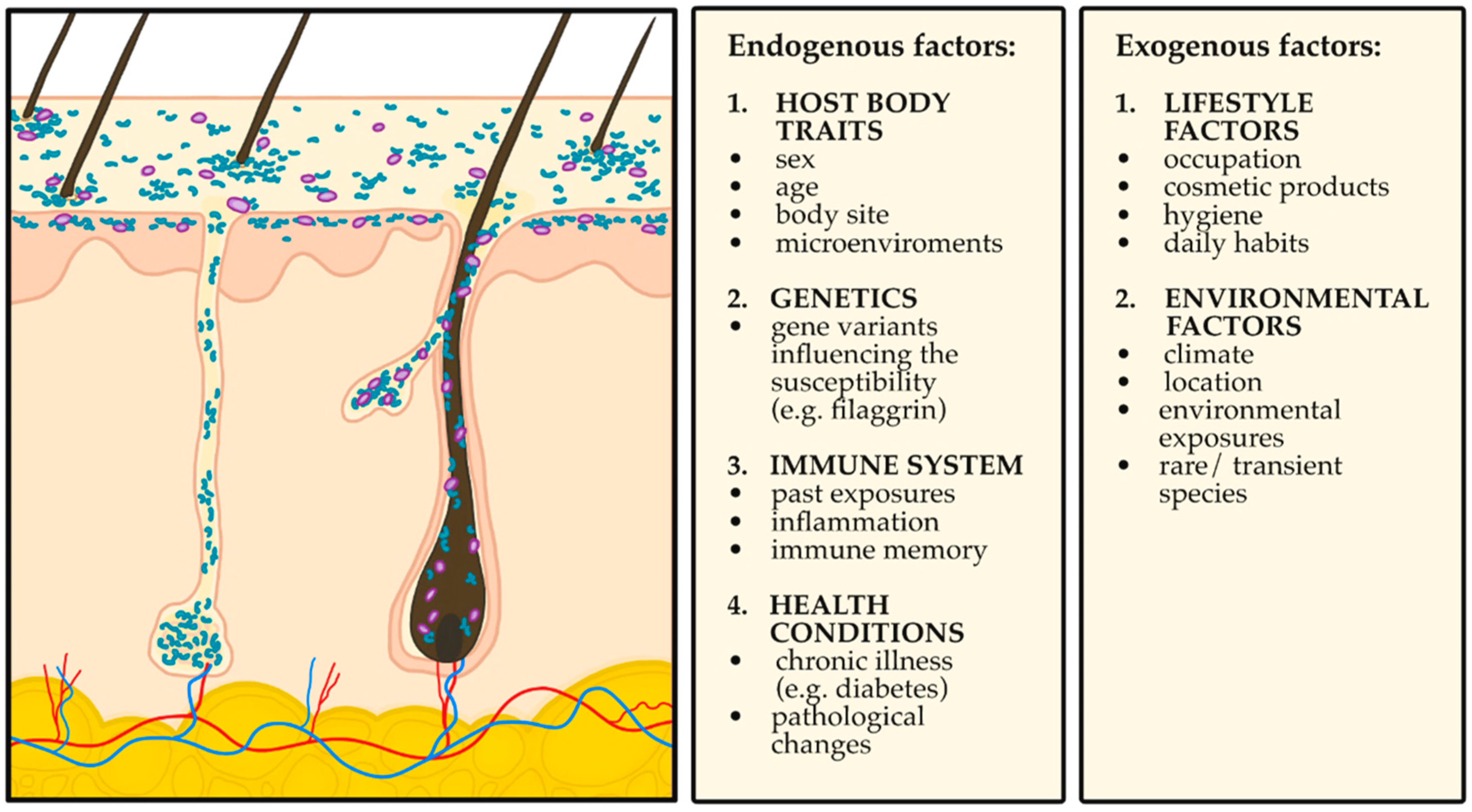 Ijms 26 10195 g001 Ijms 26 10195 g001
