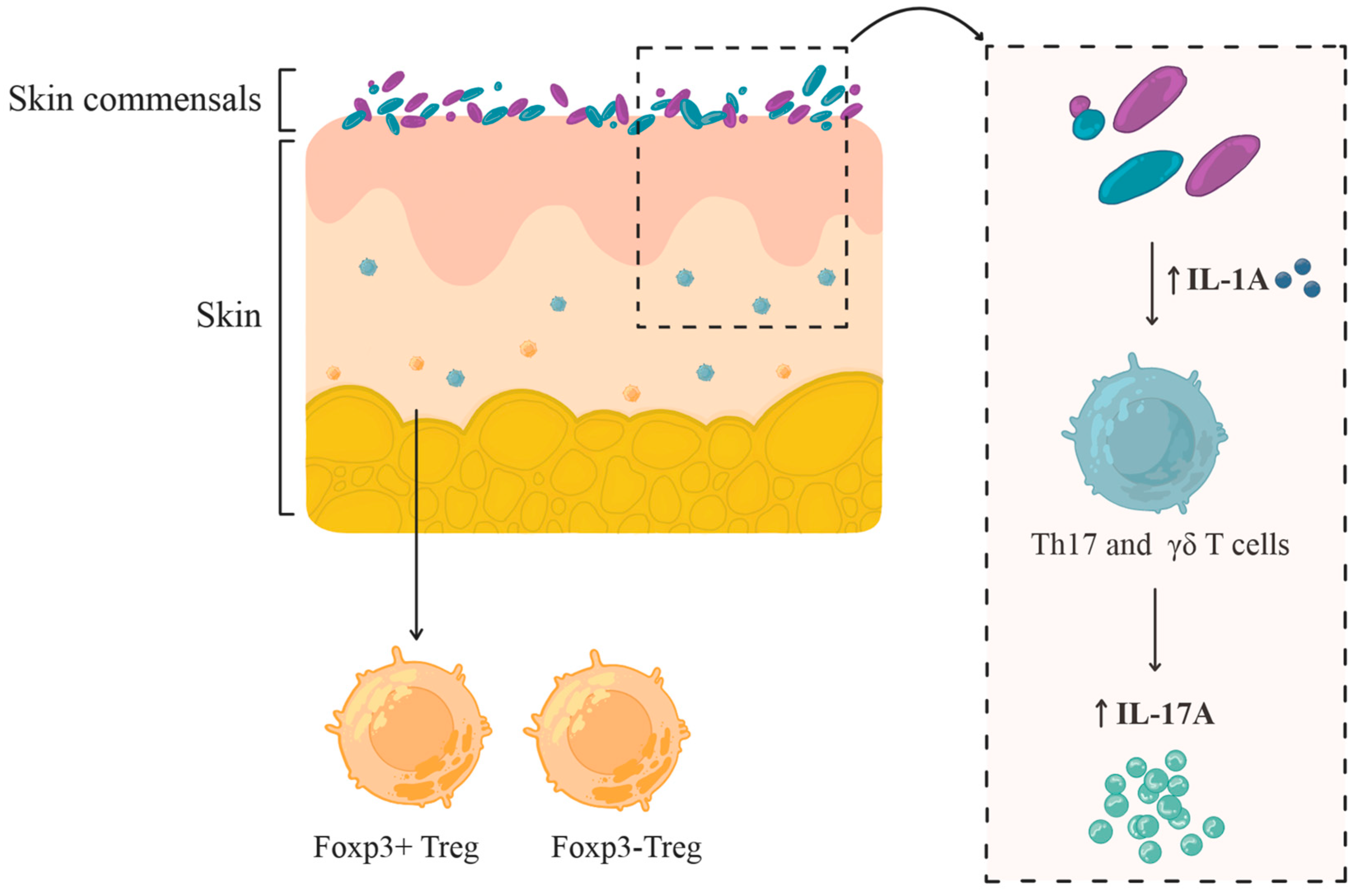 Ijms 26 10195 g002 Ijms 26 10195 g002