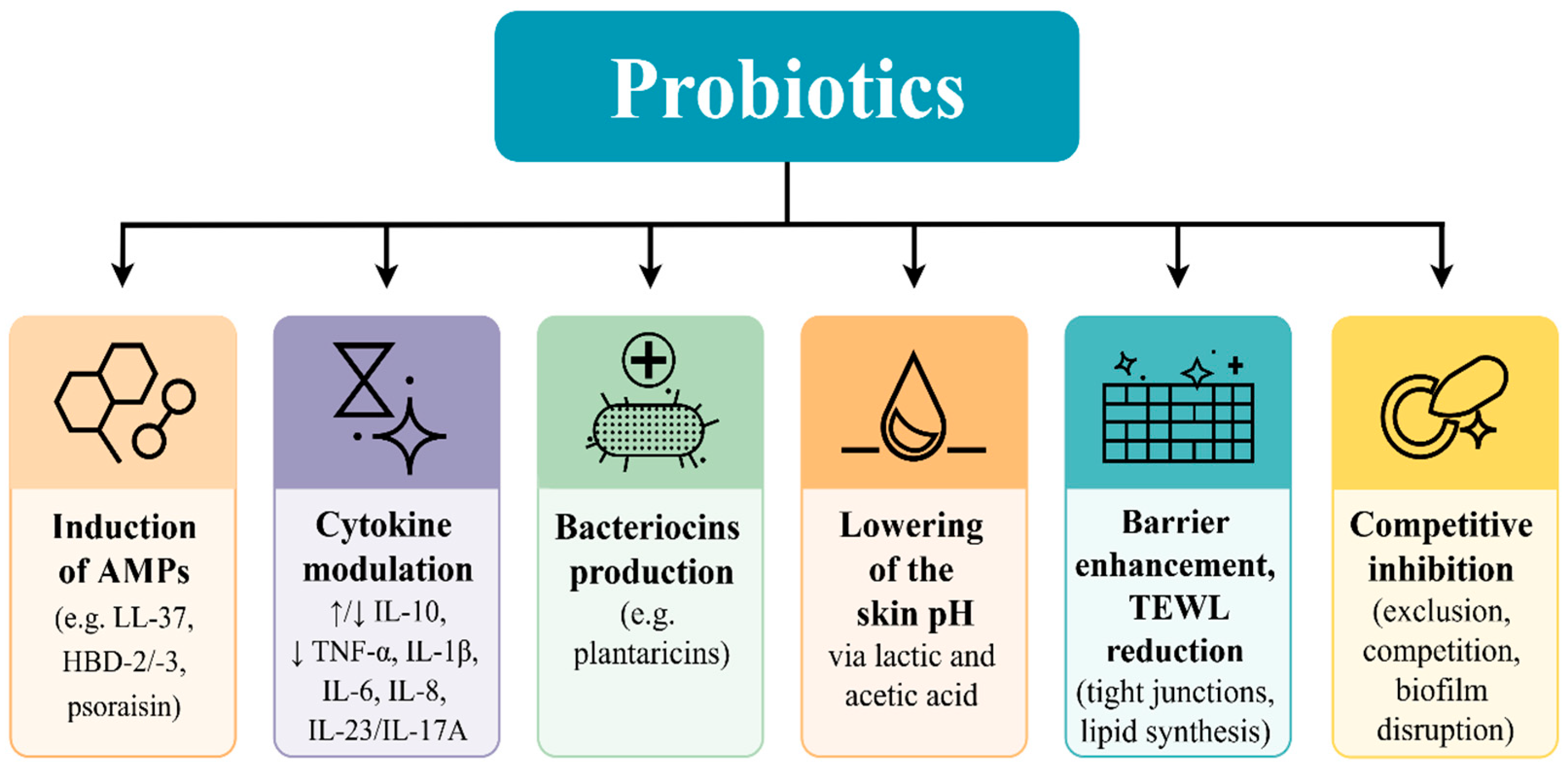 Ijms 26 10195 g003 Ijms 26 10195 g003