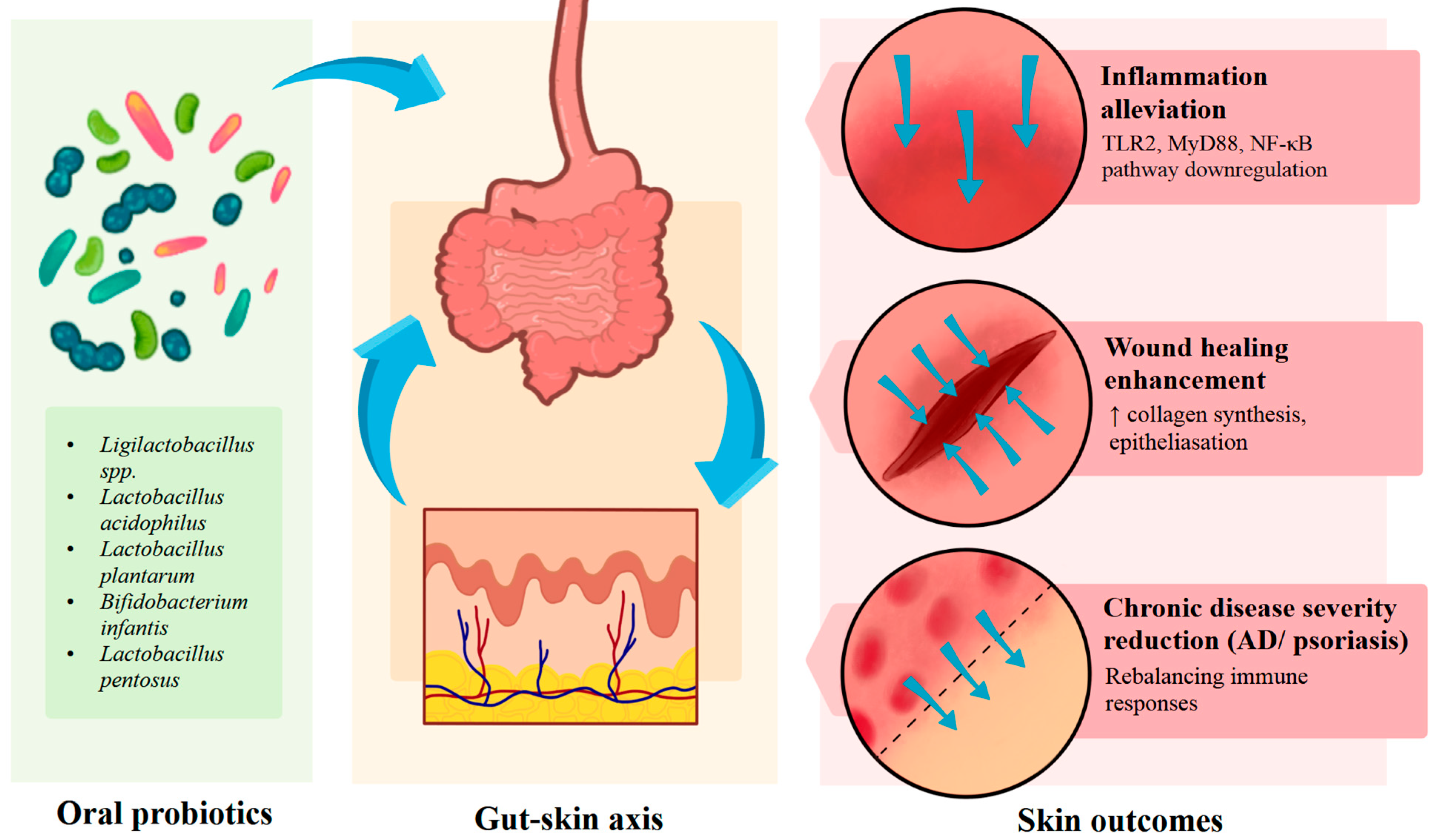 Ijms 26 10195 g005 Ijms 26 10195 g005