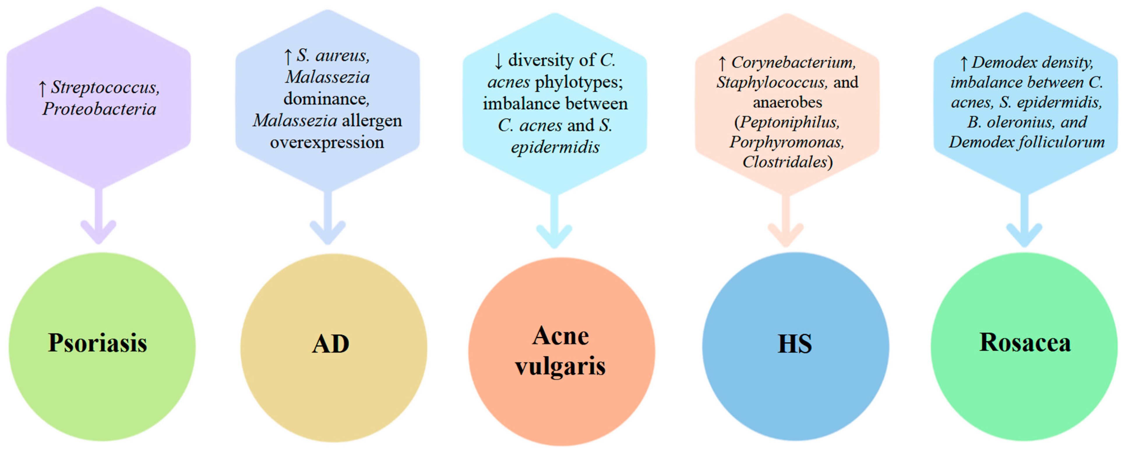 Ijms 26 10195 g006 Ijms 26 10195 g006