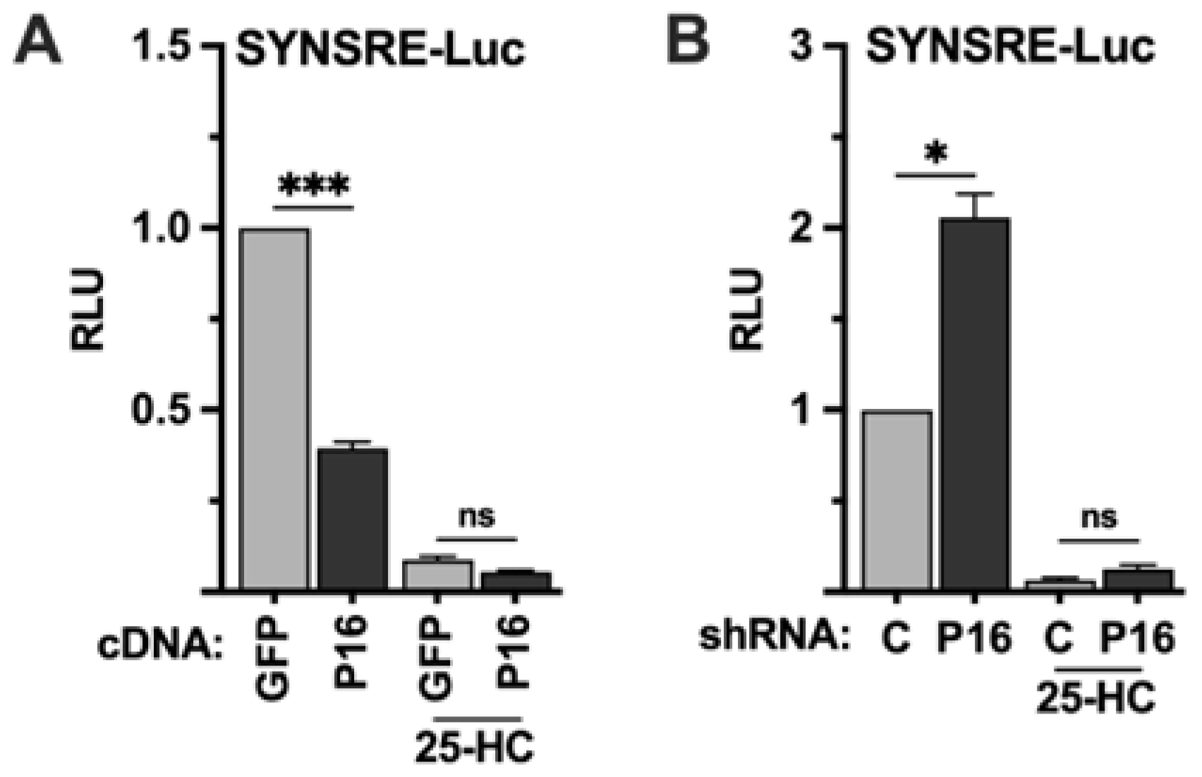 Ijms 26 10246 g002 Ijms 26 10246 g002
