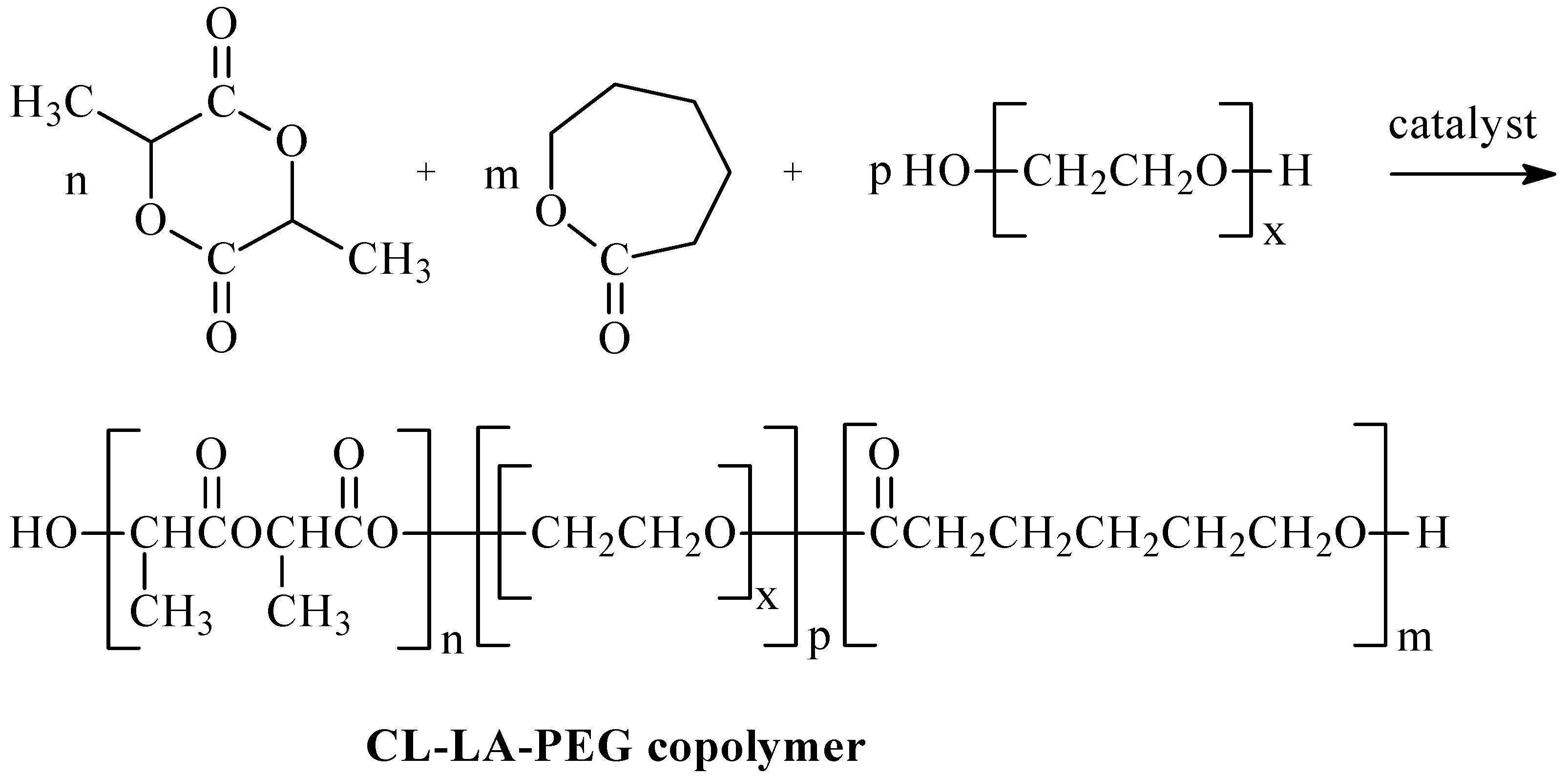 Ijms 26 10258 g001 Ijms 26 10258 g001