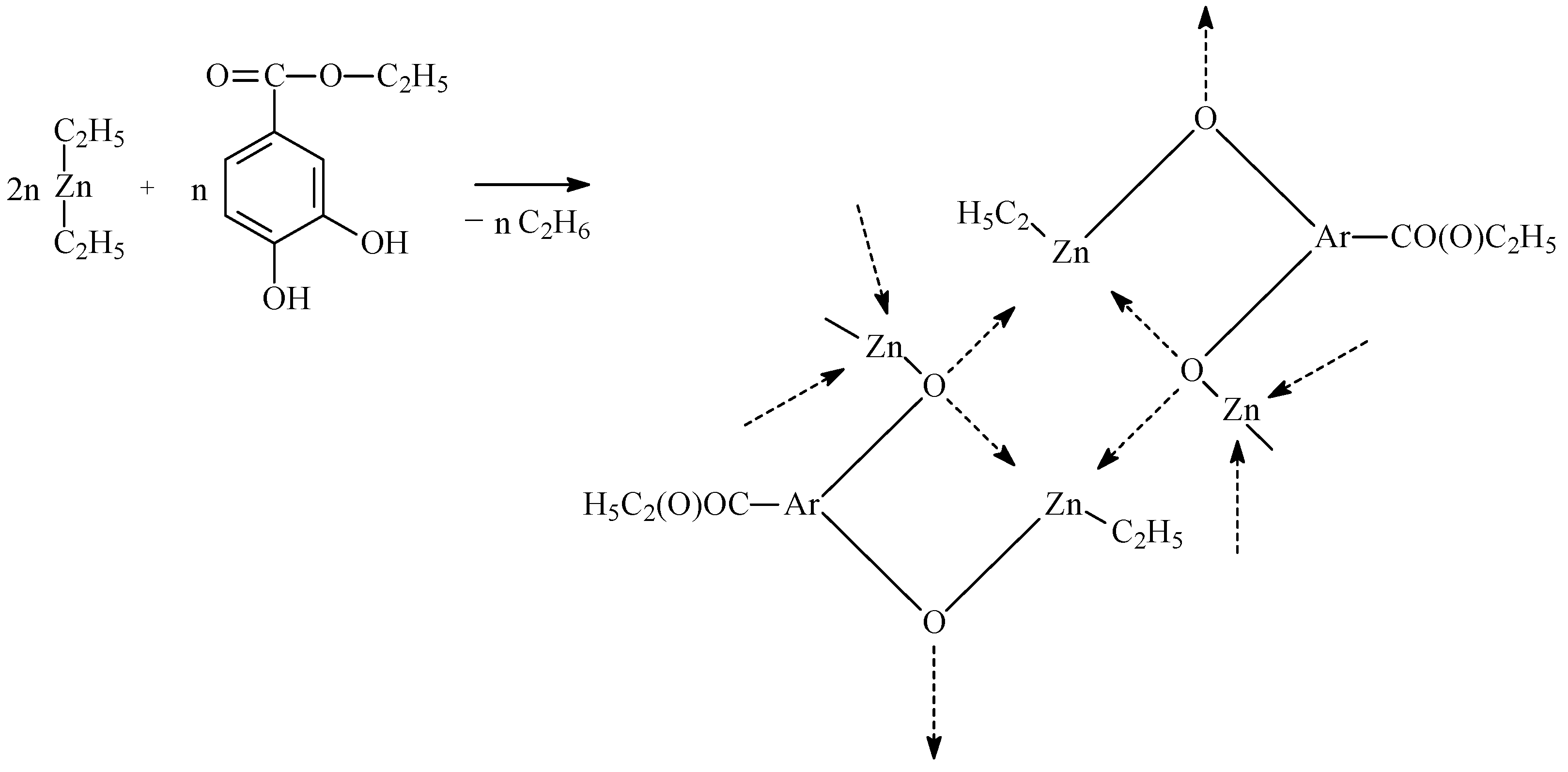 Ijms 26 10258 g002 Ijms 26 10258 g002