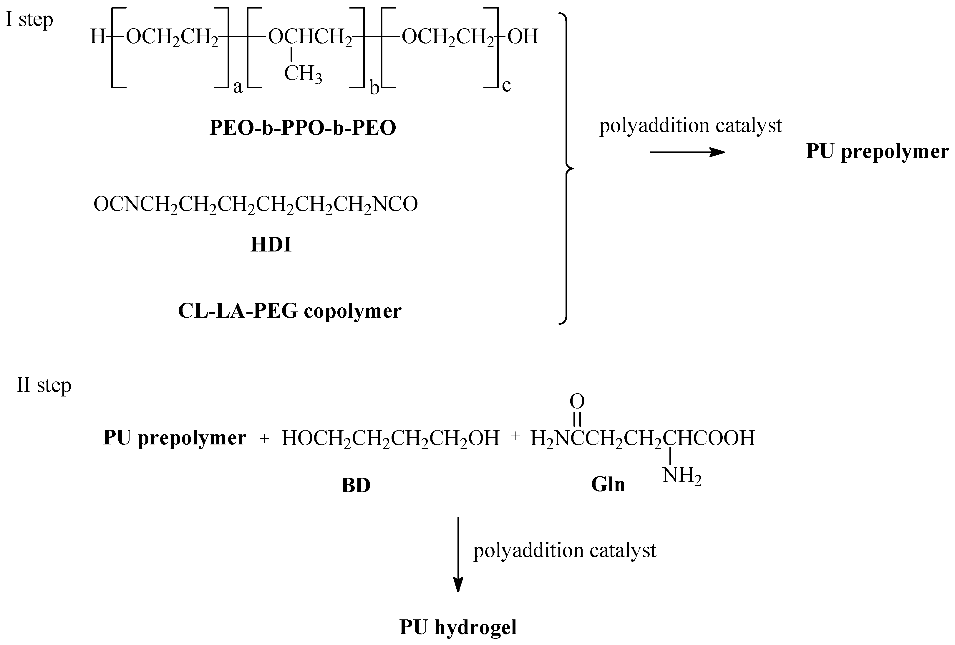 Ijms 26 10258 g005 Ijms 26 10258 g005