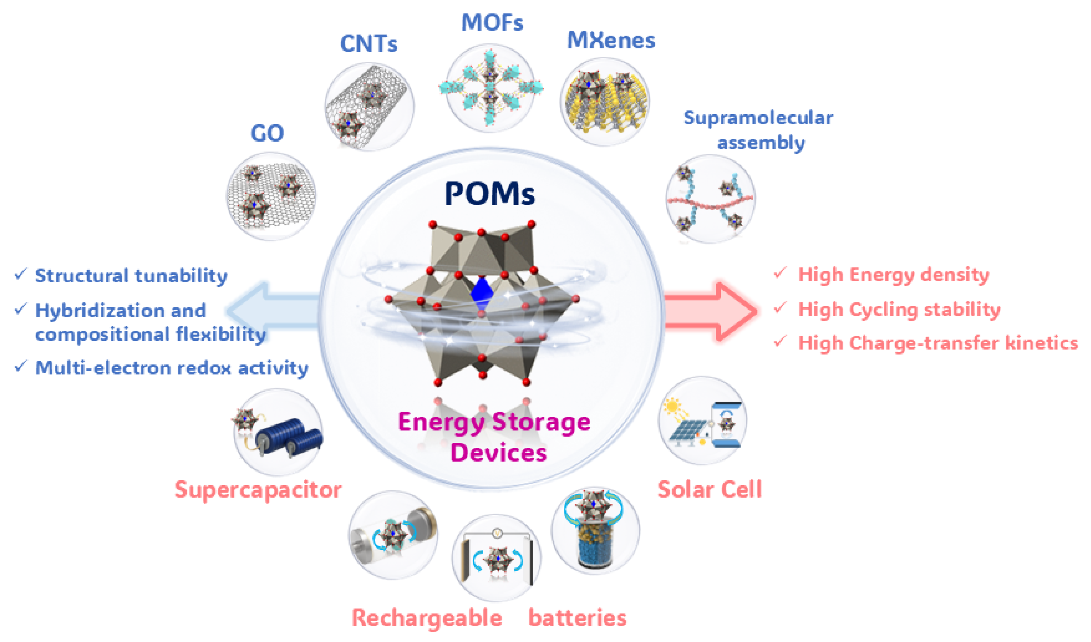 Ijms 26 10267 g001 Ijms 26 10267 g001