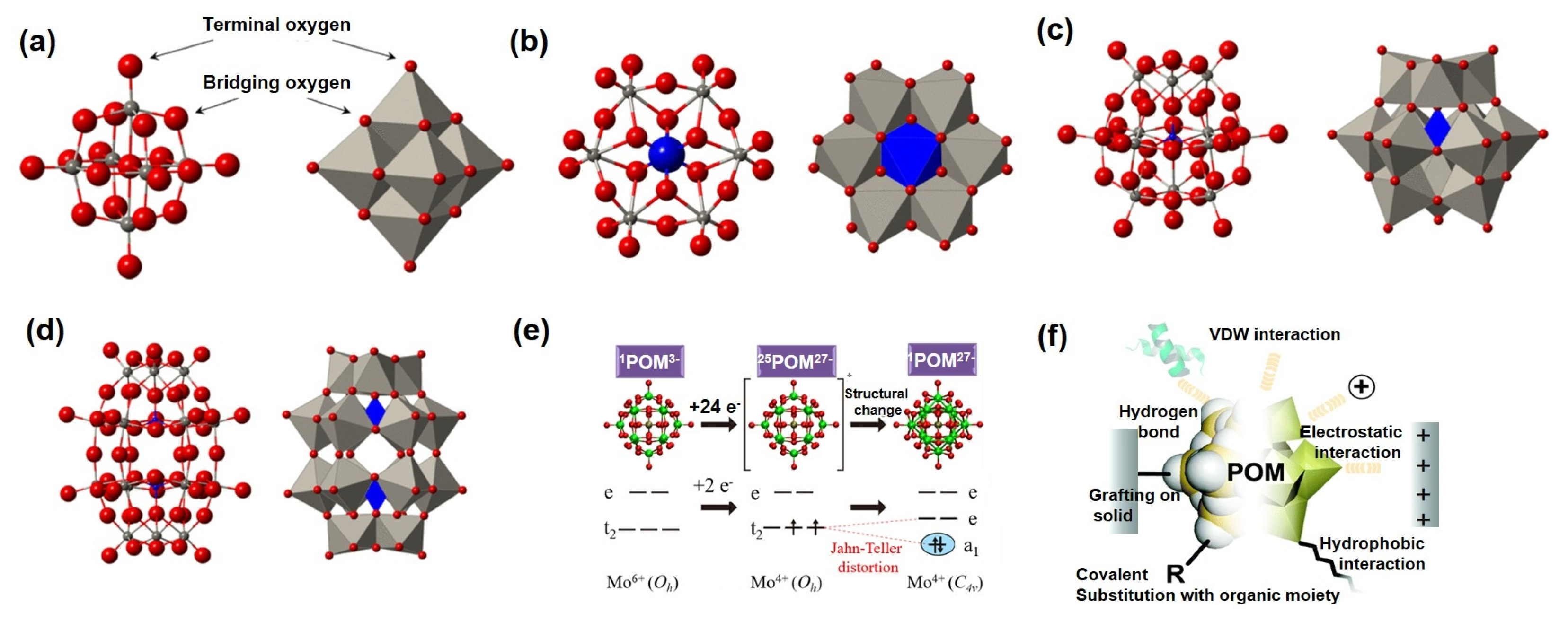 Ijms 26 10267 g002 Ijms 26 10267 g002