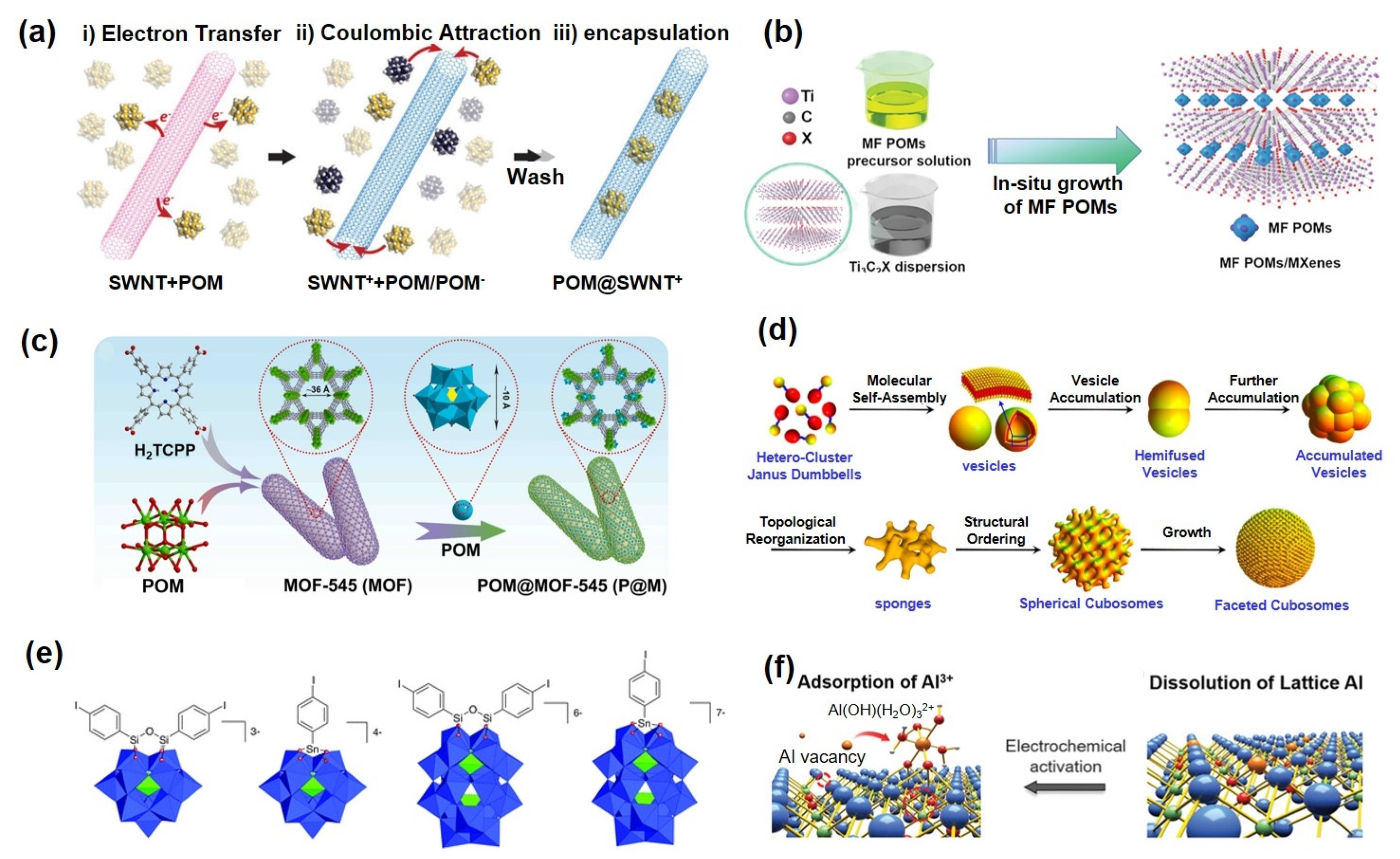 Ijms 26 10267 g003 Ijms 26 10267 g003