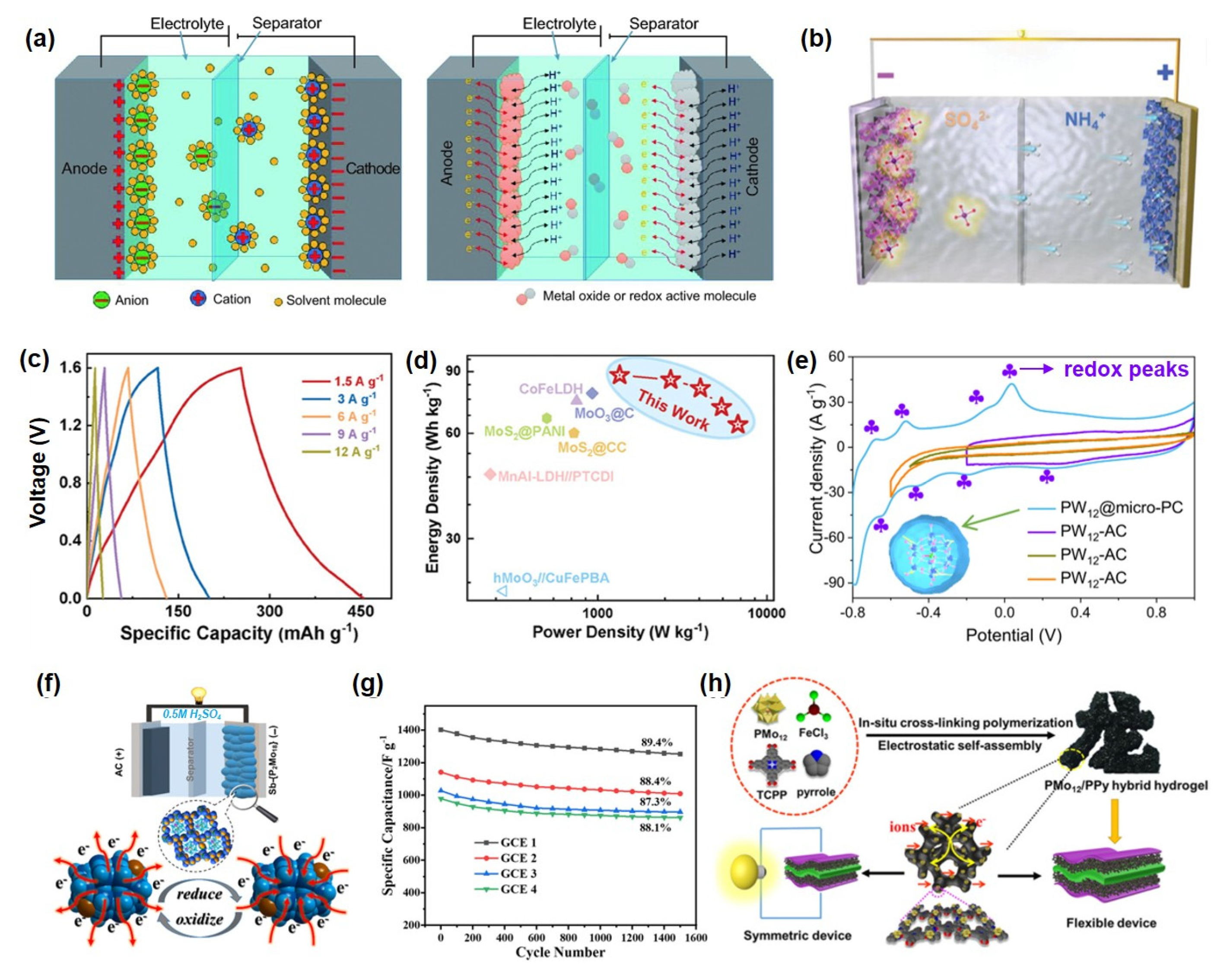 Ijms 26 10267 g005 Ijms 26 10267 g005