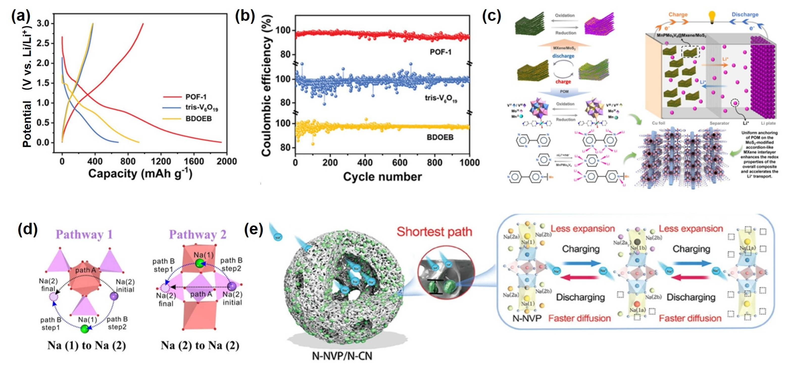 Ijms 26 10267 g006 Ijms 26 10267 g006