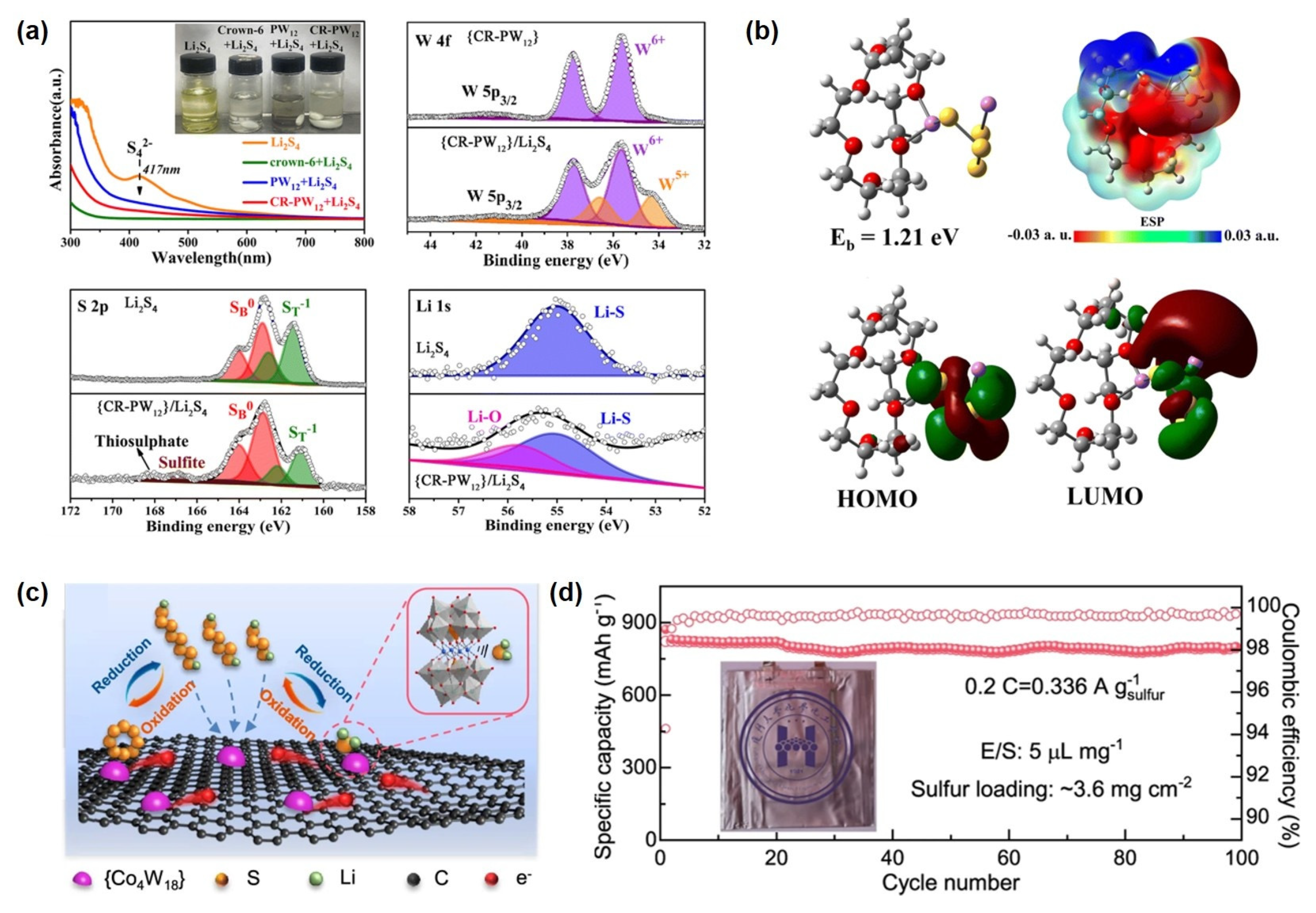 Ijms 26 10267 g007 Ijms 26 10267 g007