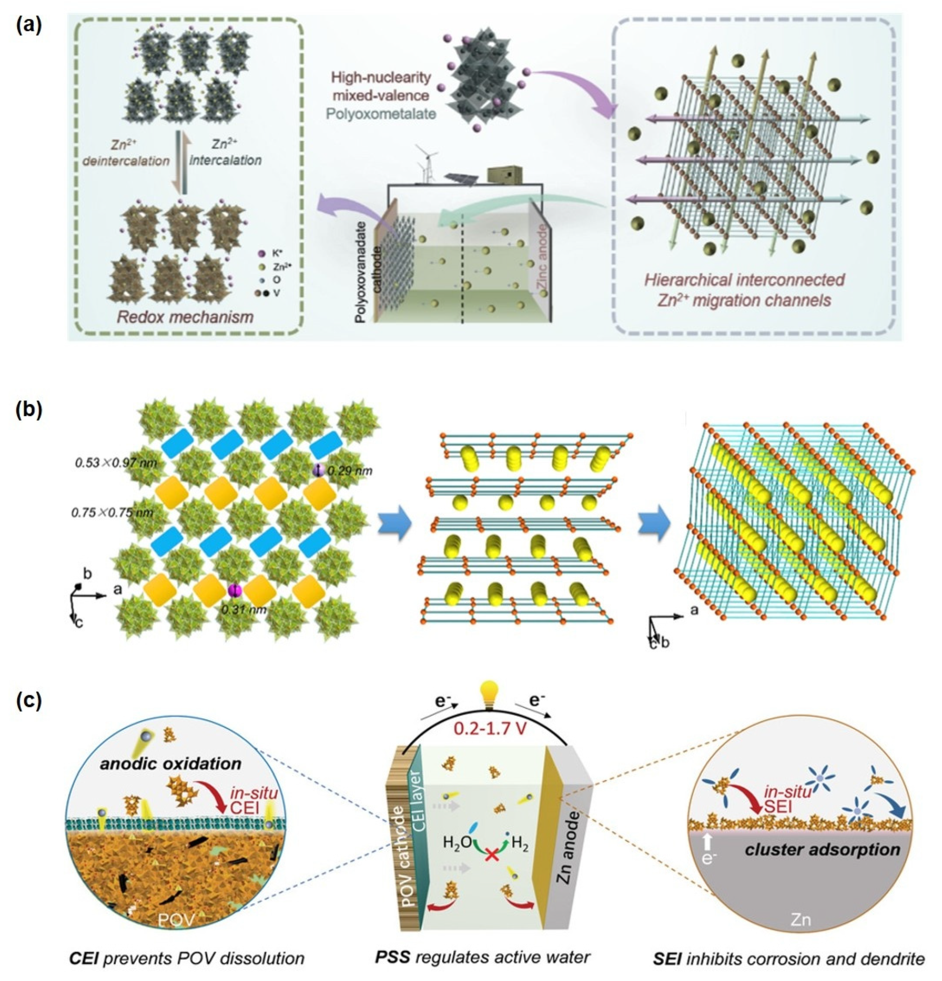 Ijms 26 10267 g008 Ijms 26 10267 g008