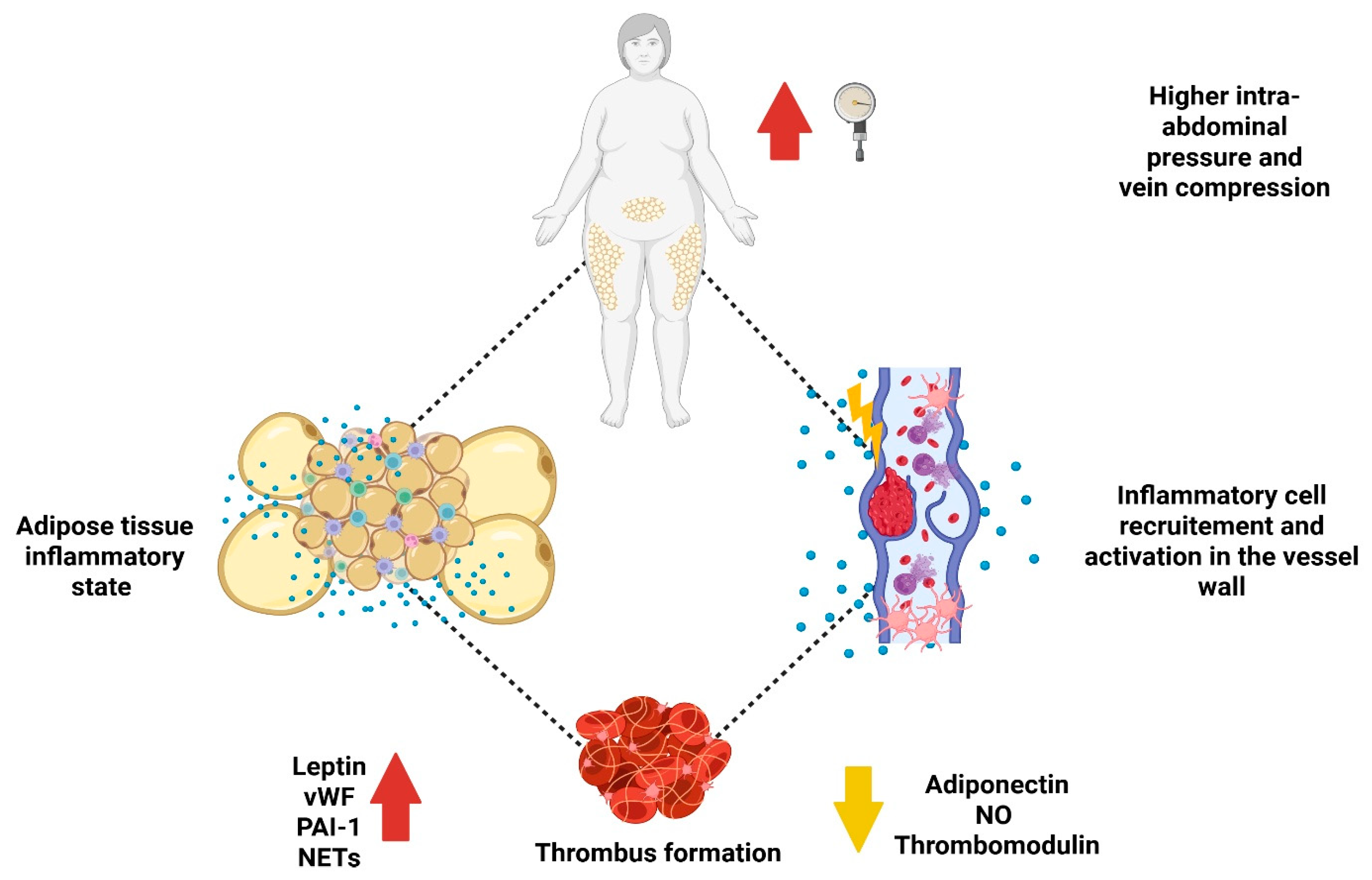 Ijms 26 10292 g001 Ijms 26 10292 g001