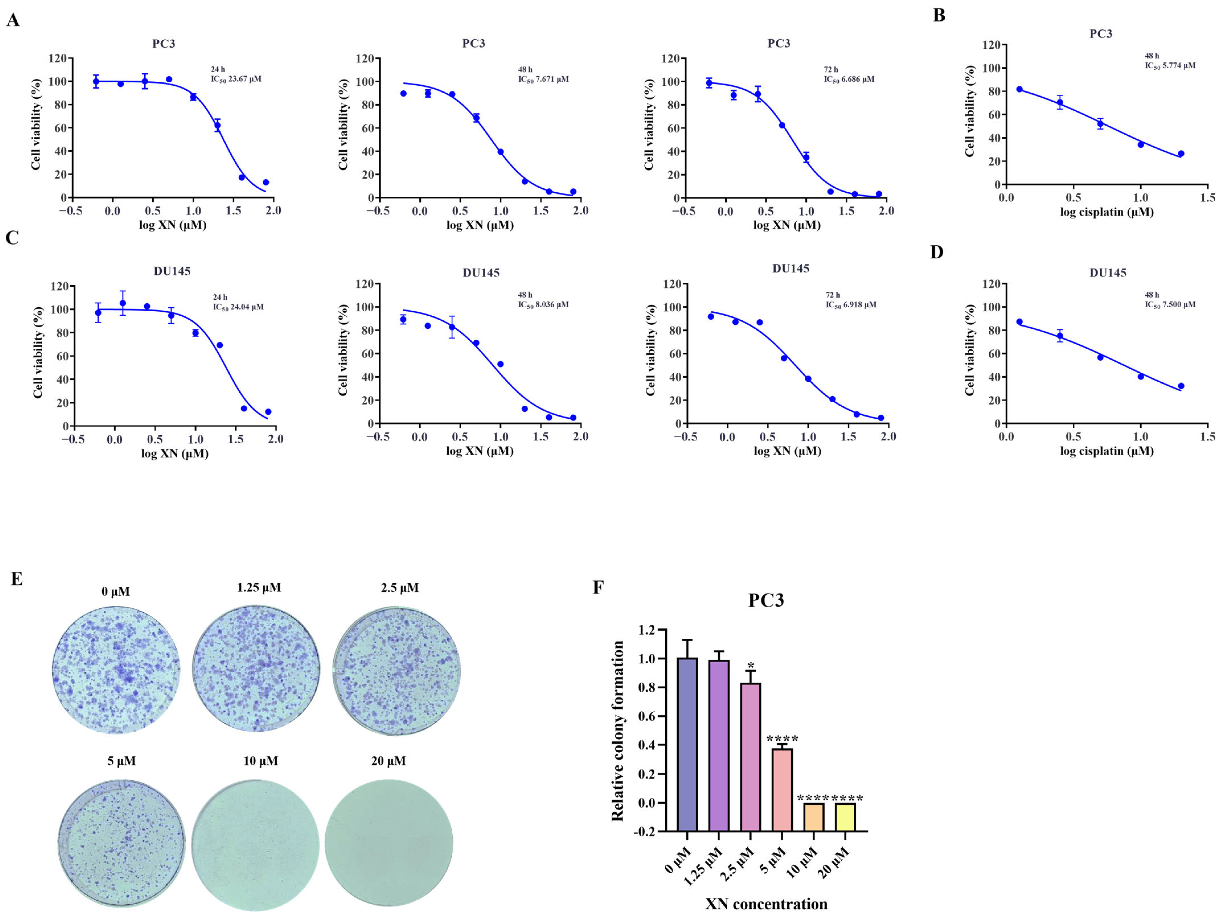 Ijms 26 10347 g001 Ijms 26 10347 g001