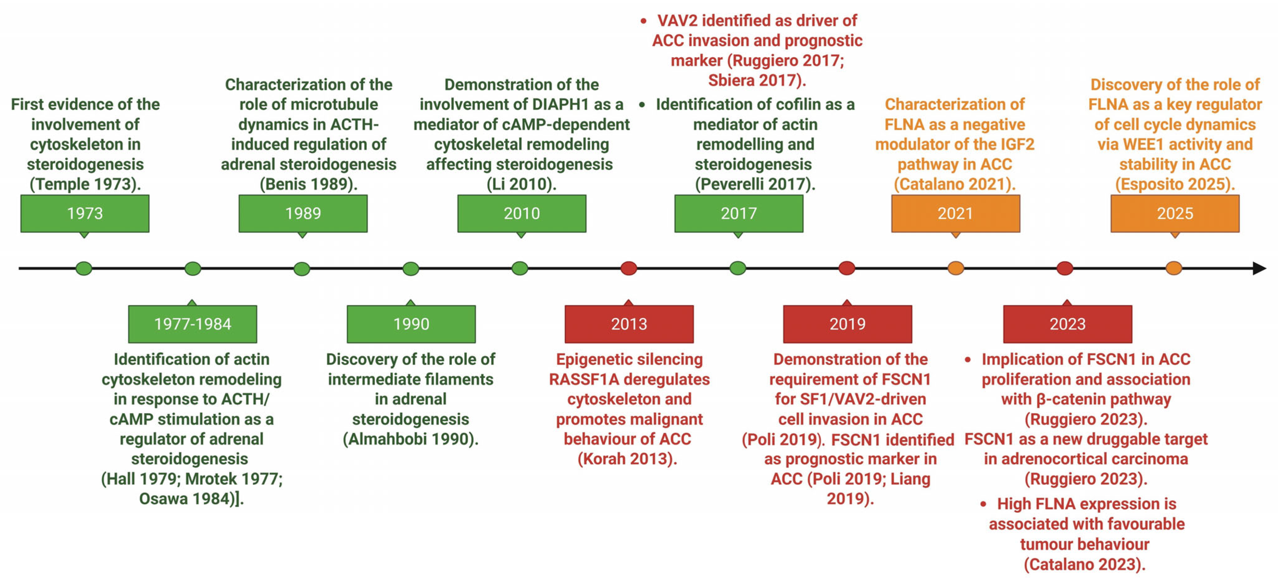 Ijms 26 10348 g001 Ijms 26 10348 g001