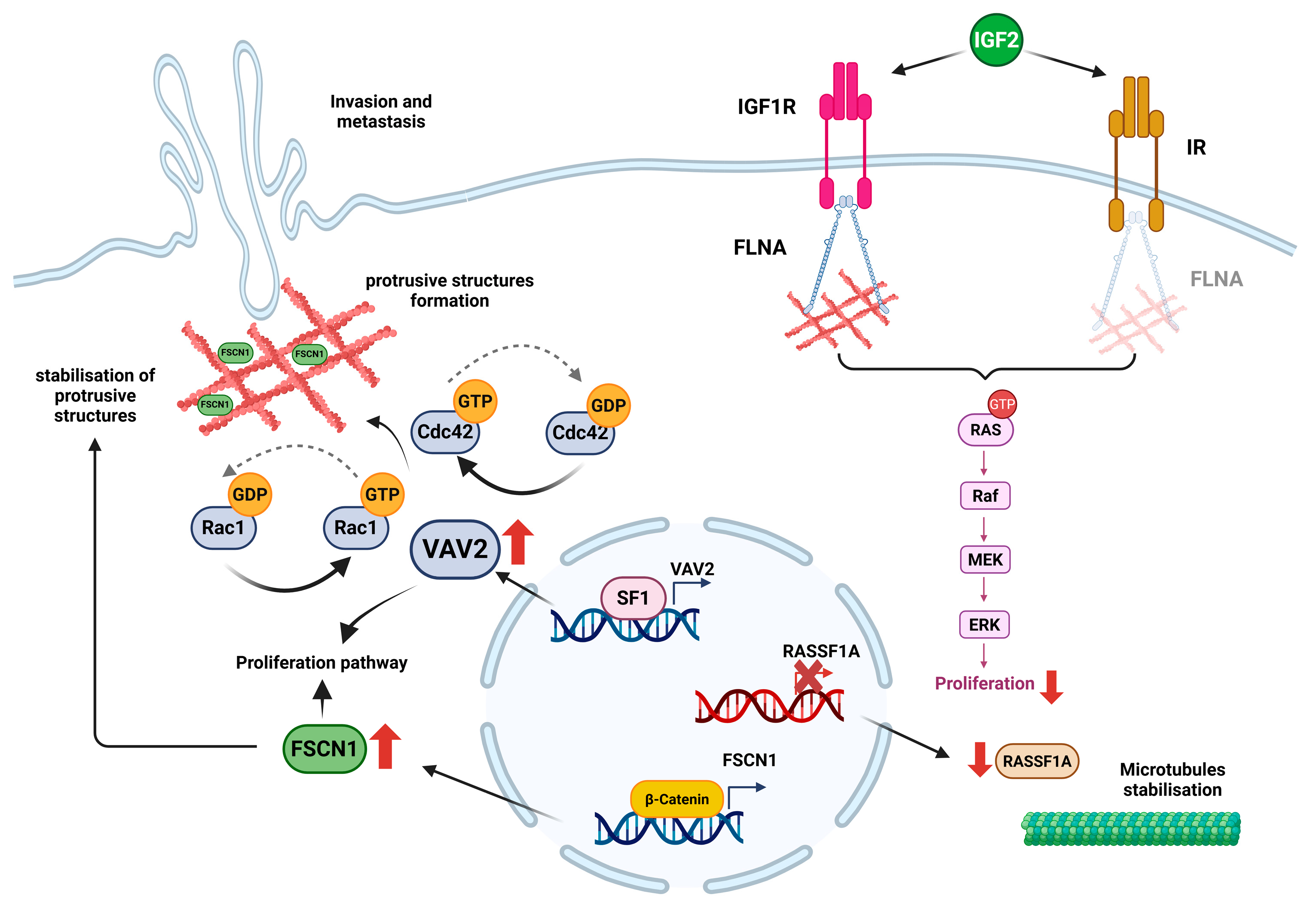 Ijms 26 10348 g003 Ijms 26 10348 g003