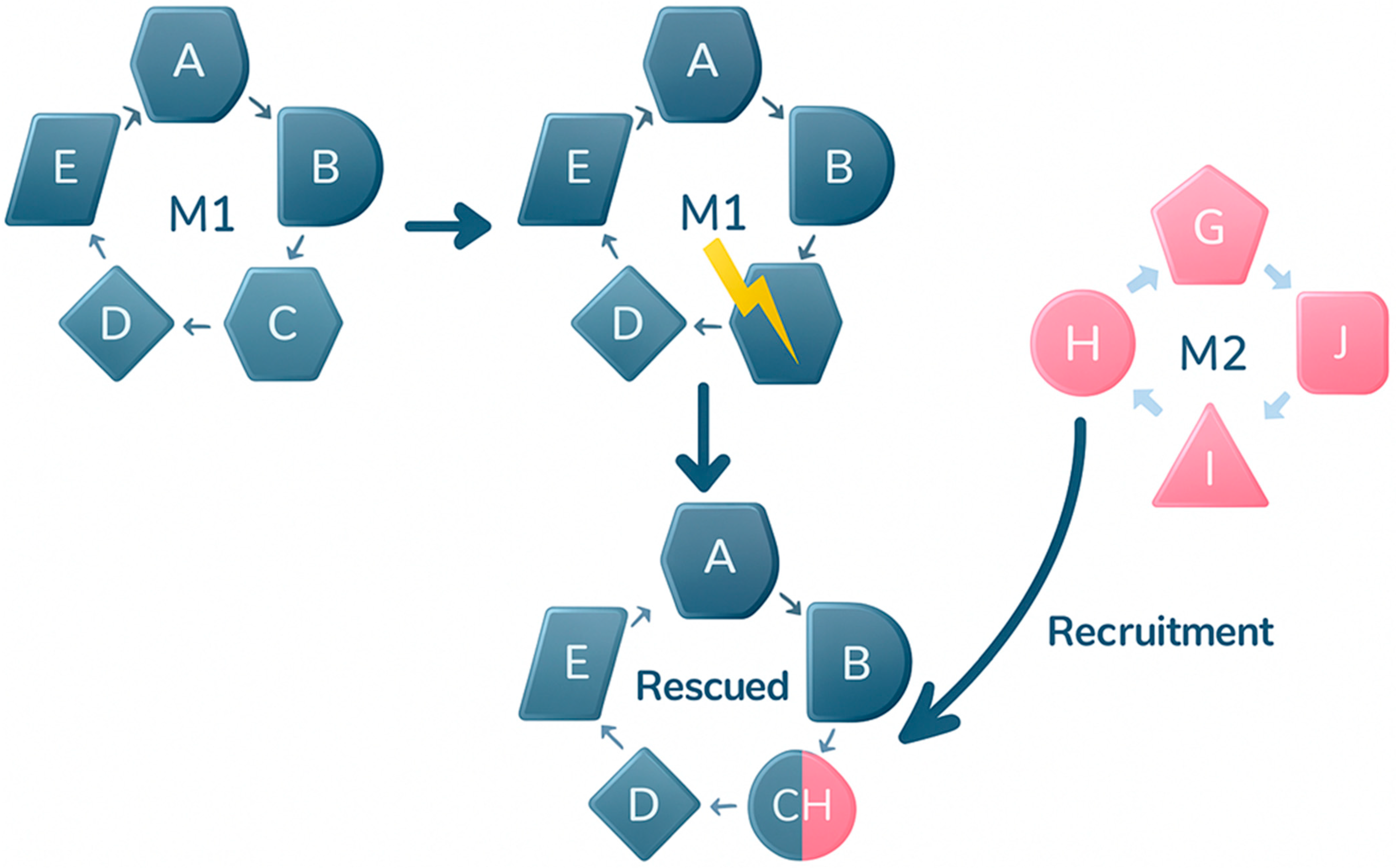 Ijms 26 10375 g001 Ijms 26 10375 g001