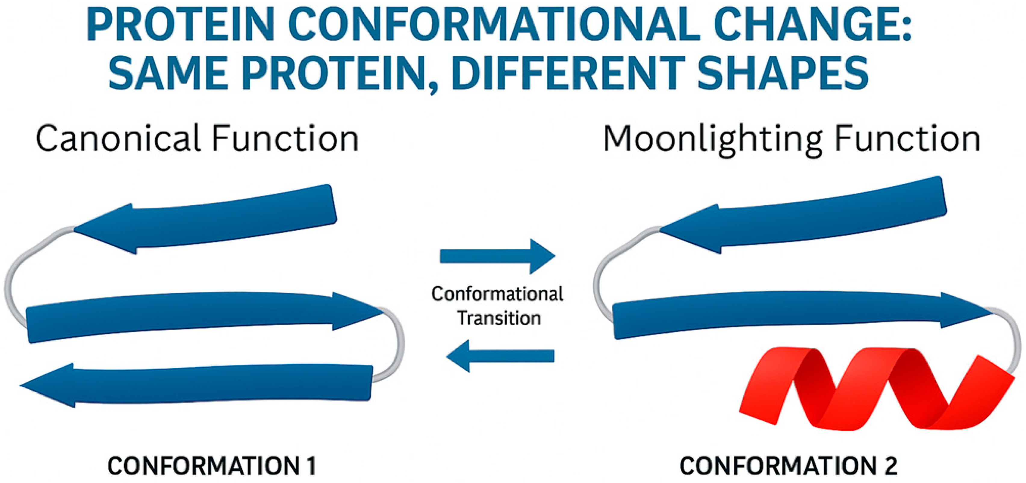 Ijms 26 10375 g002 Ijms 26 10375 g002