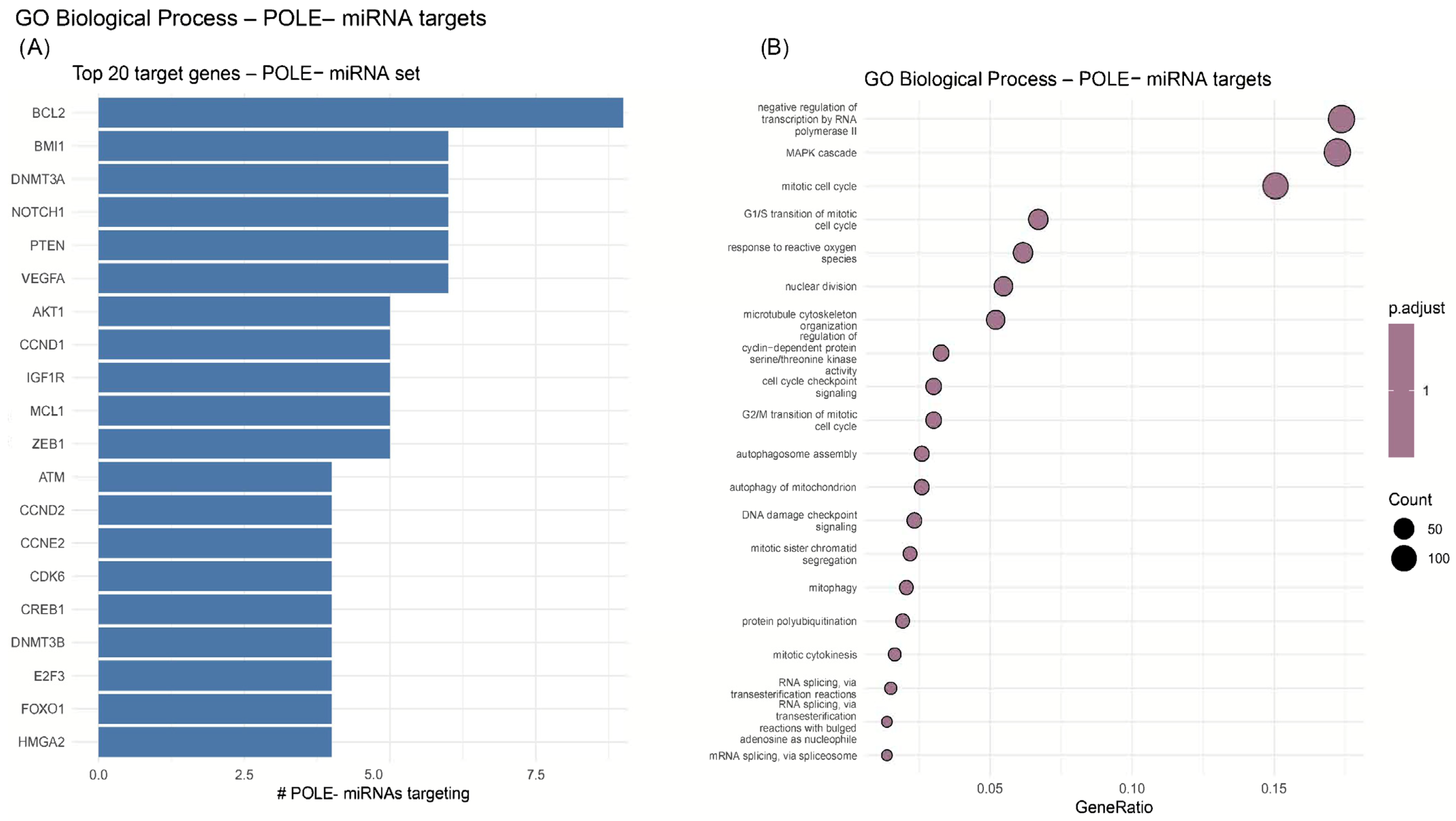 Ijms 26 10438 g005 Ijms 26 10438 g005
