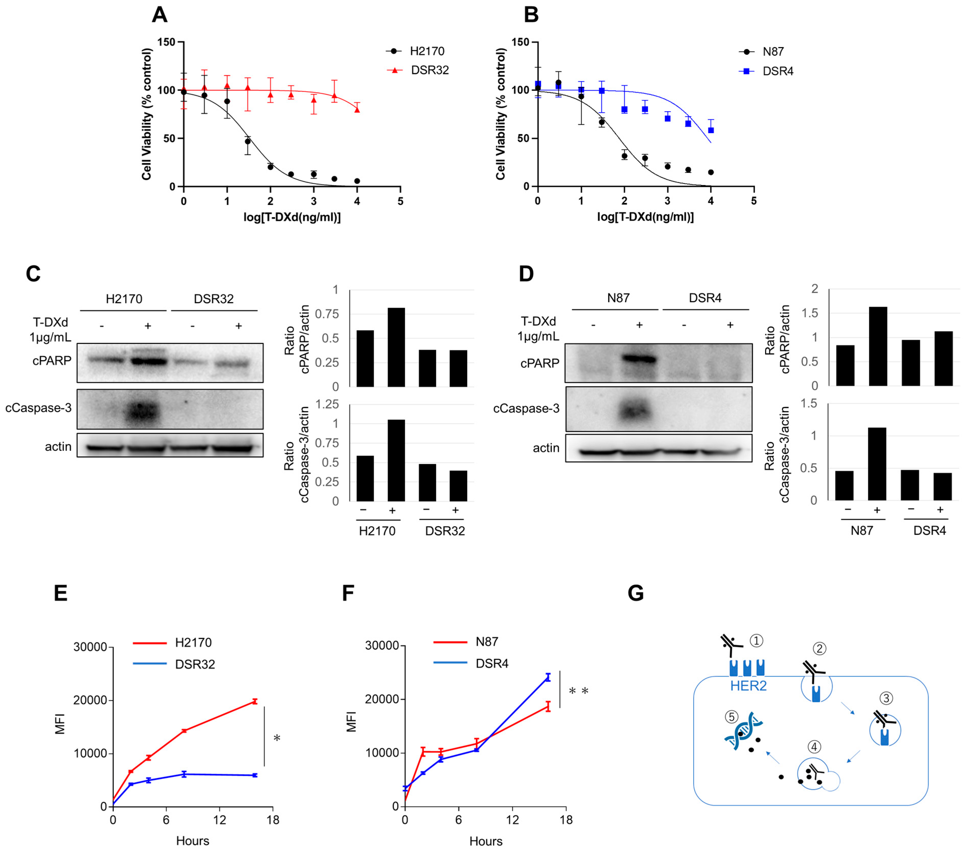 Ijms 26 10515 g001 Ijms 26 10515 g001