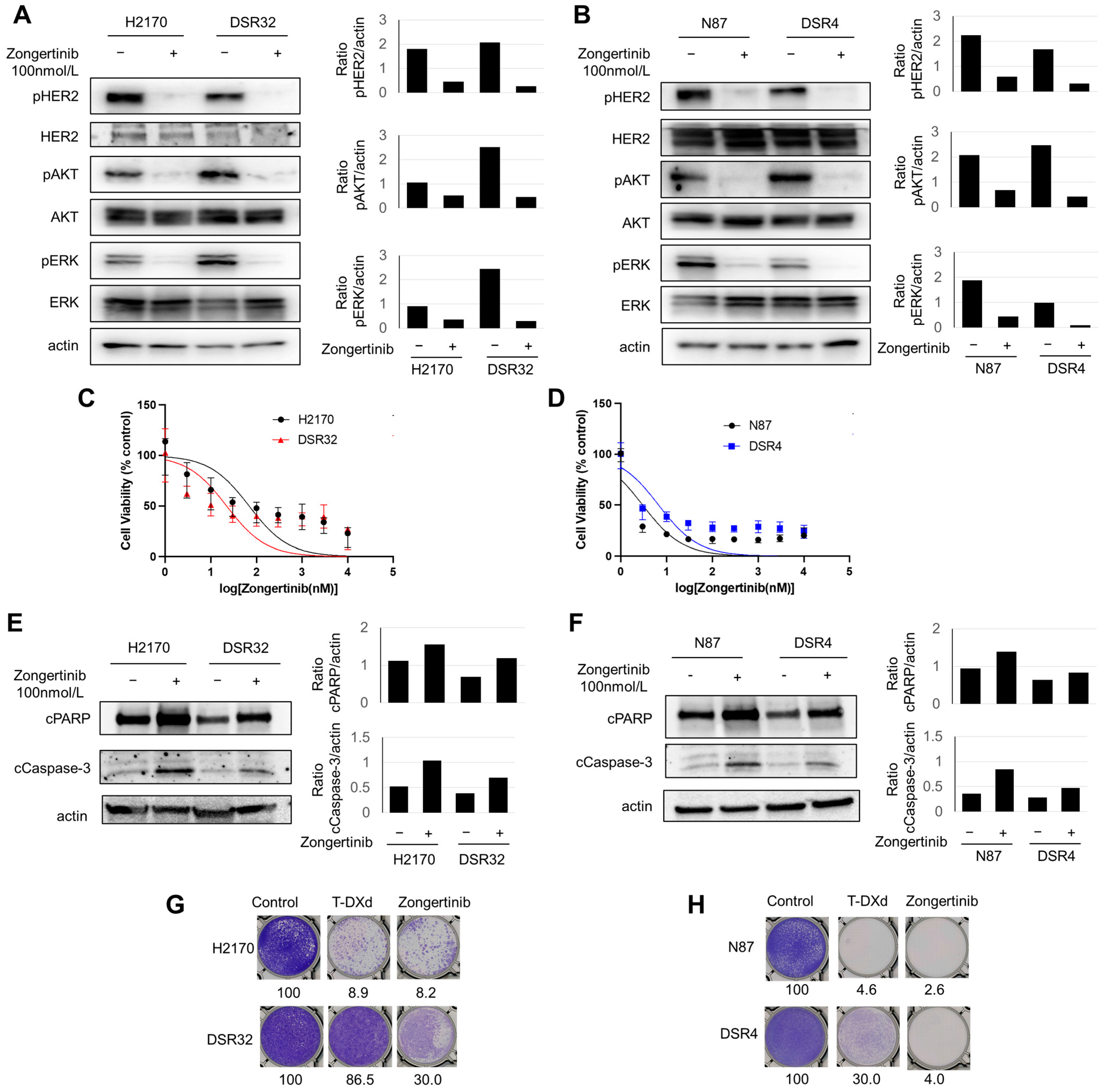 Ijms 26 10515 g004 Ijms 26 10515 g004