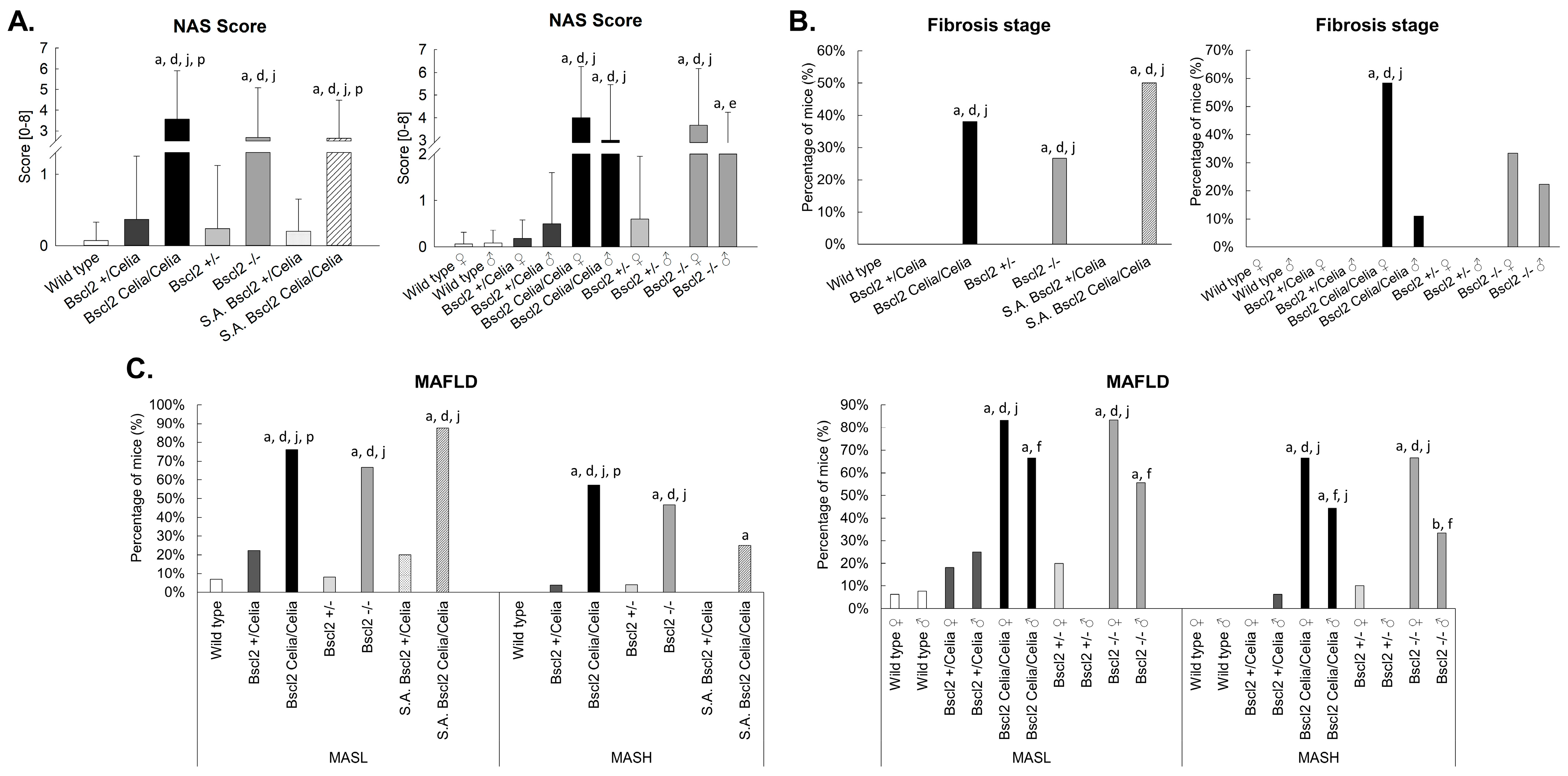 Ijms 26 12037 g004 Ijms 26 12037 g004