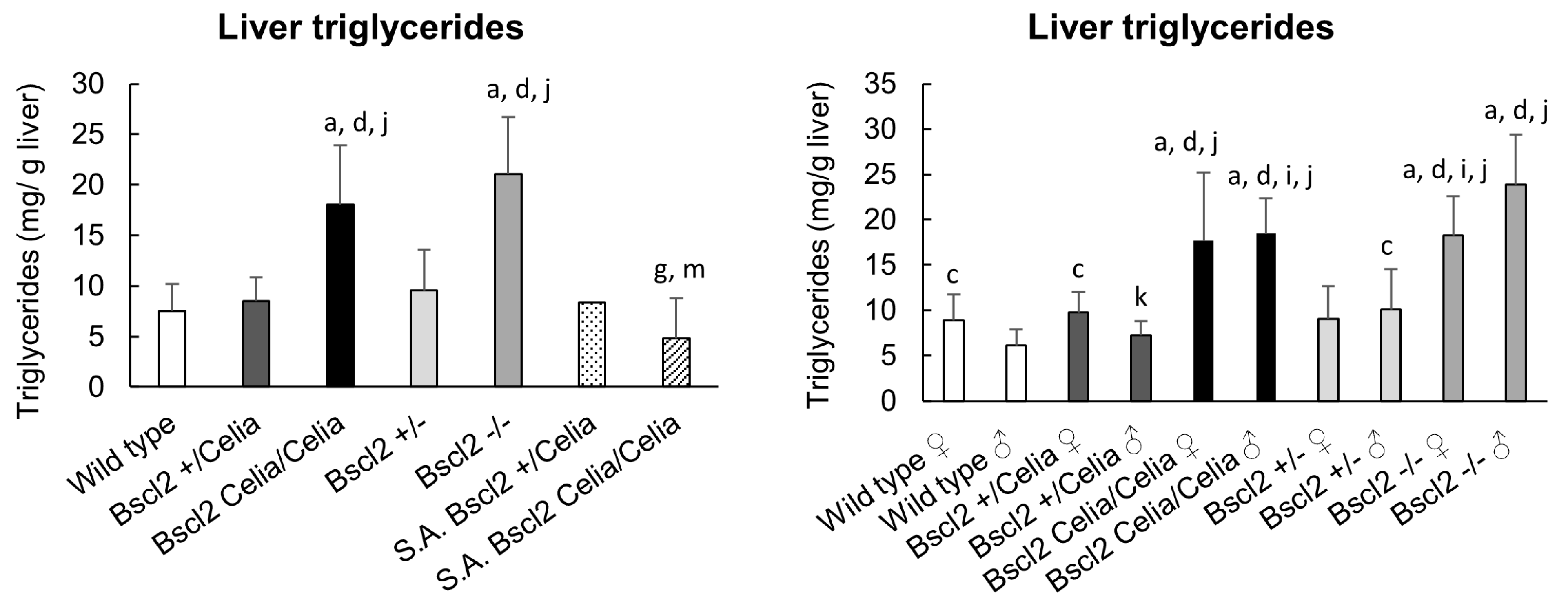 Ijms 26 12037 g005 Ijms 26 12037 g005