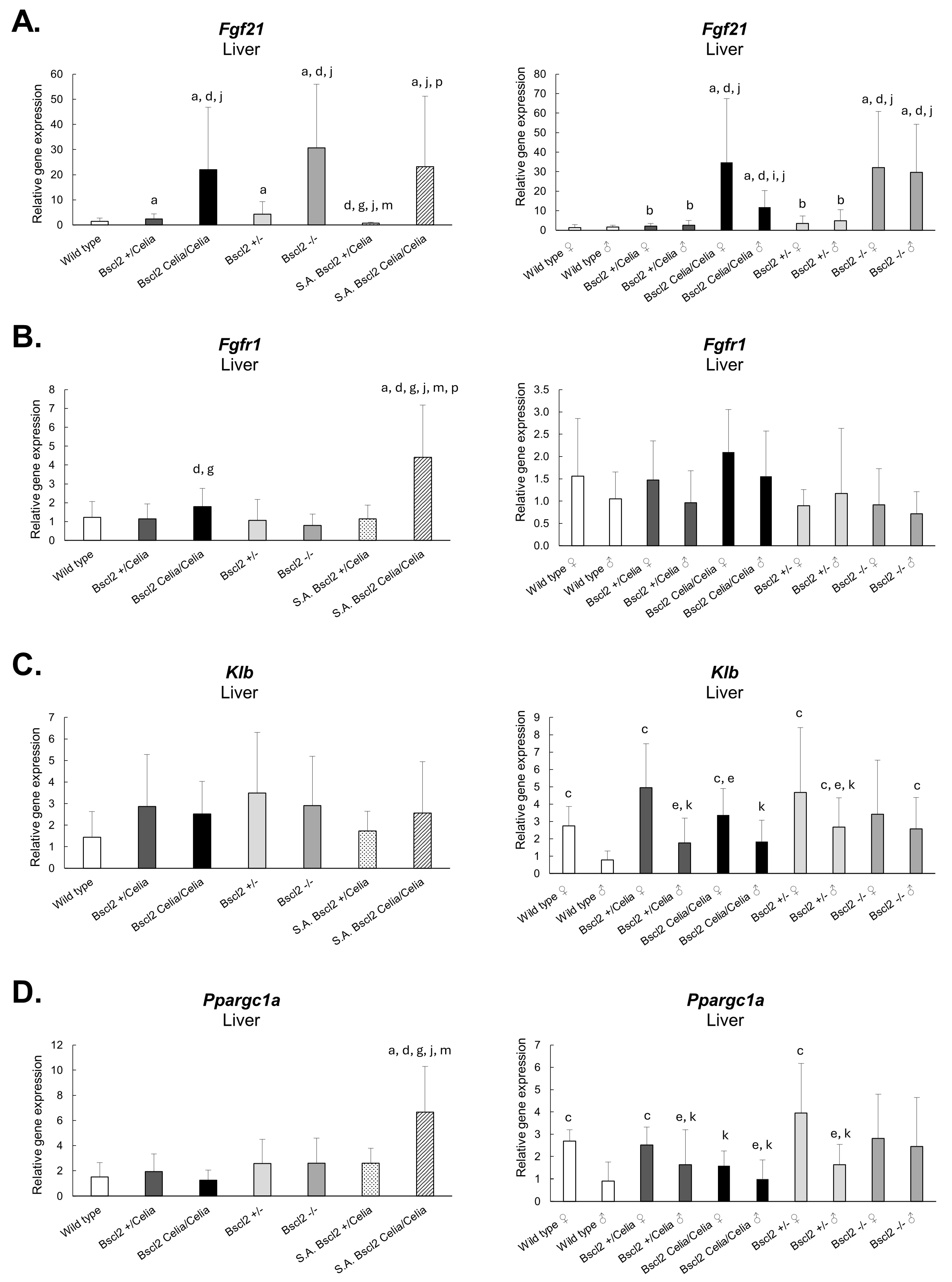 Ijms 26 12037 g006 Ijms 26 12037 g006