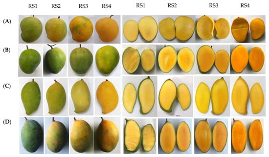 File:Mango - single.jpg - Wikimedia Commons