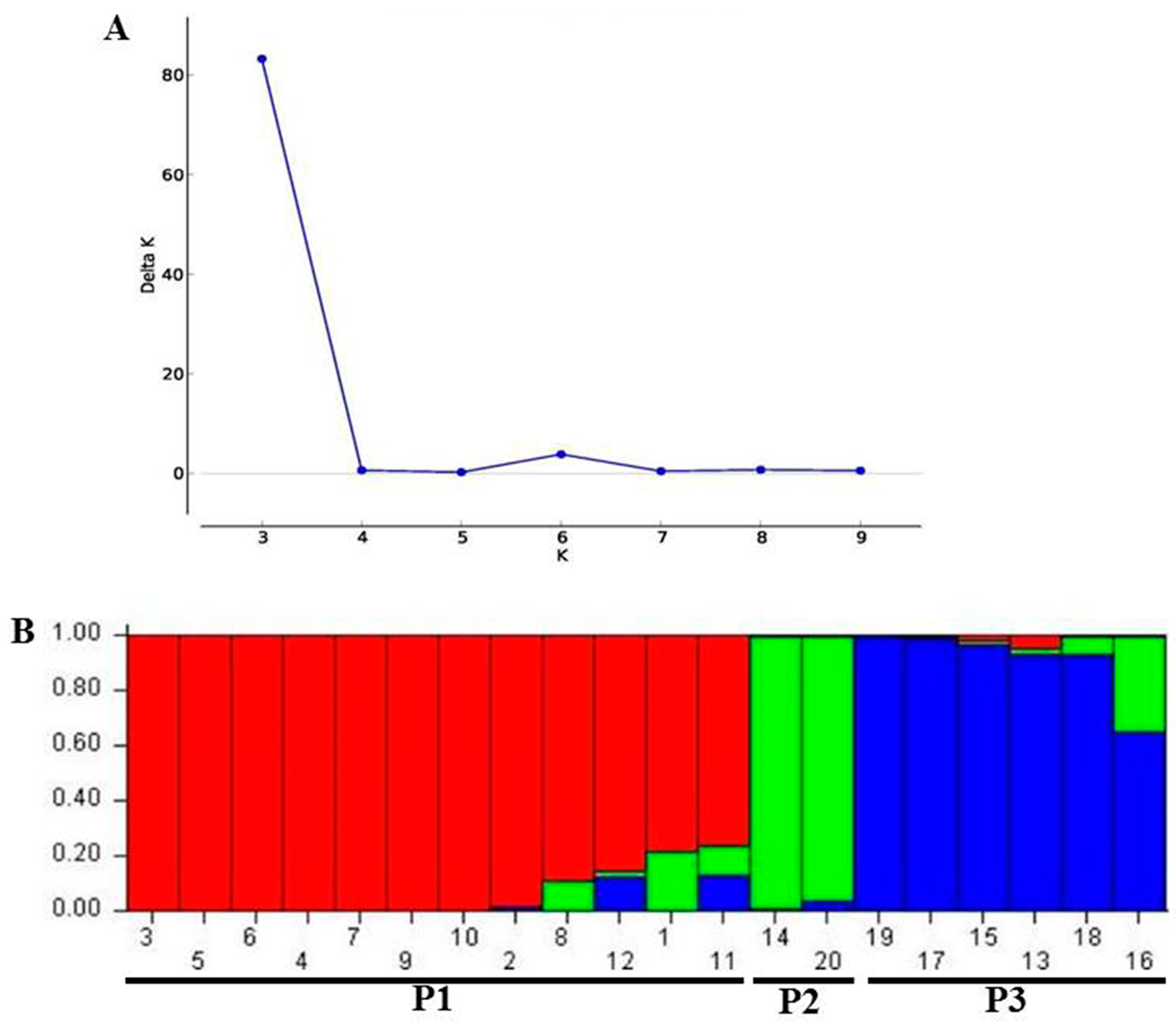 Ijpb 14 00025 g002 Ijpb 14 00025 g002
