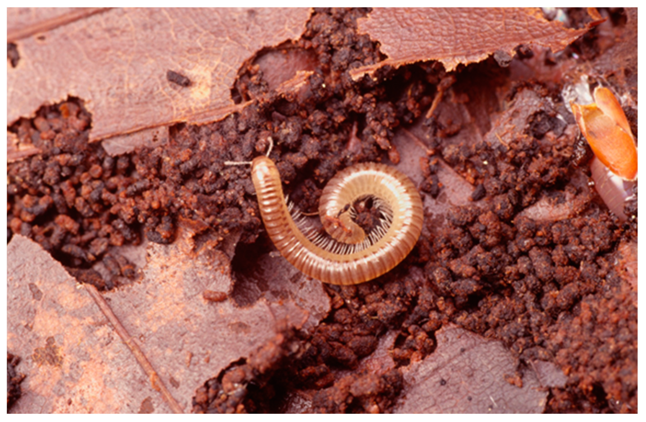 Ijpb 14 00050 g003 Ijpb 14 00050 g003