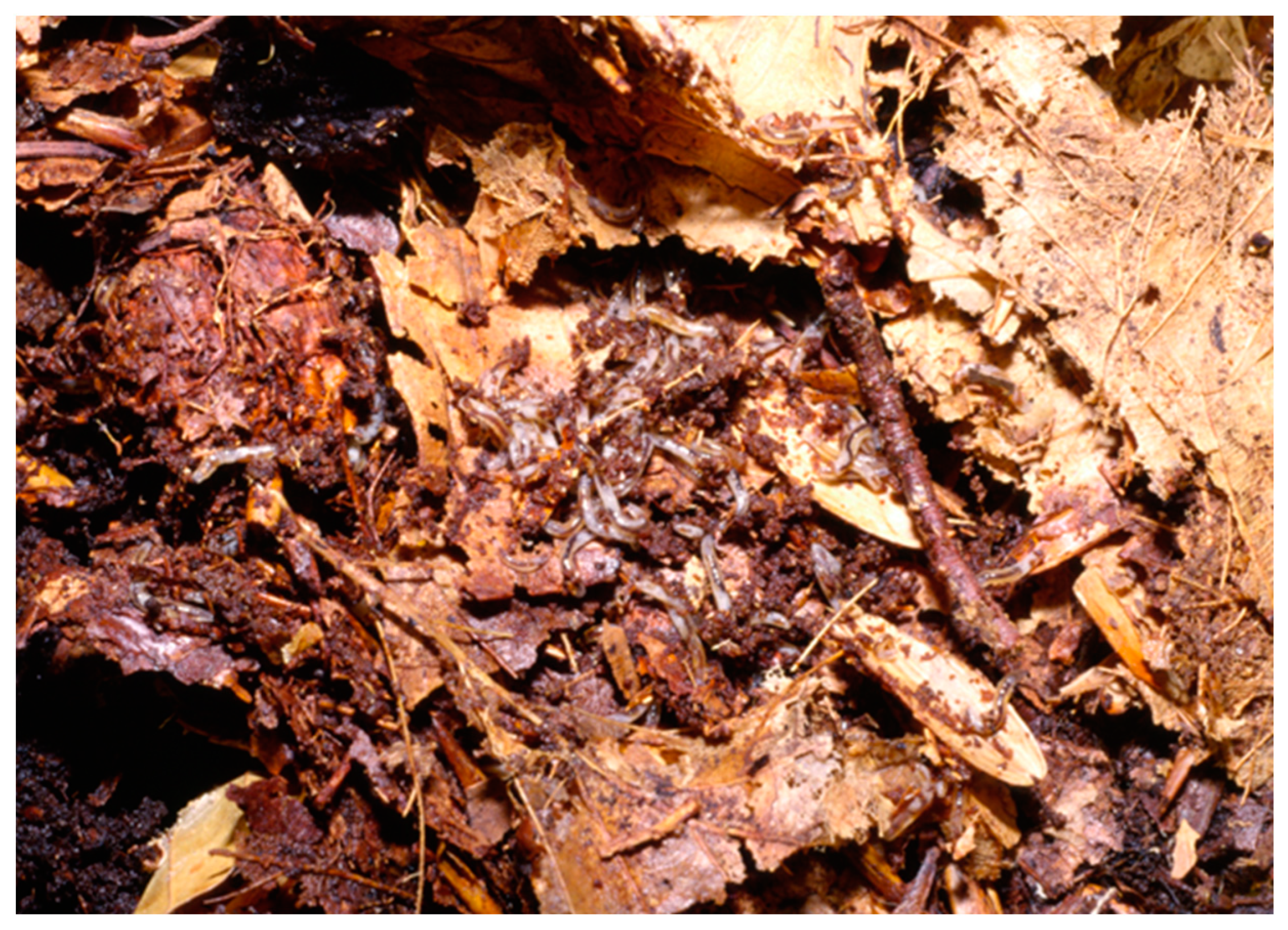 Ijpb 14 00050 g004 Ijpb 14 00050 g004