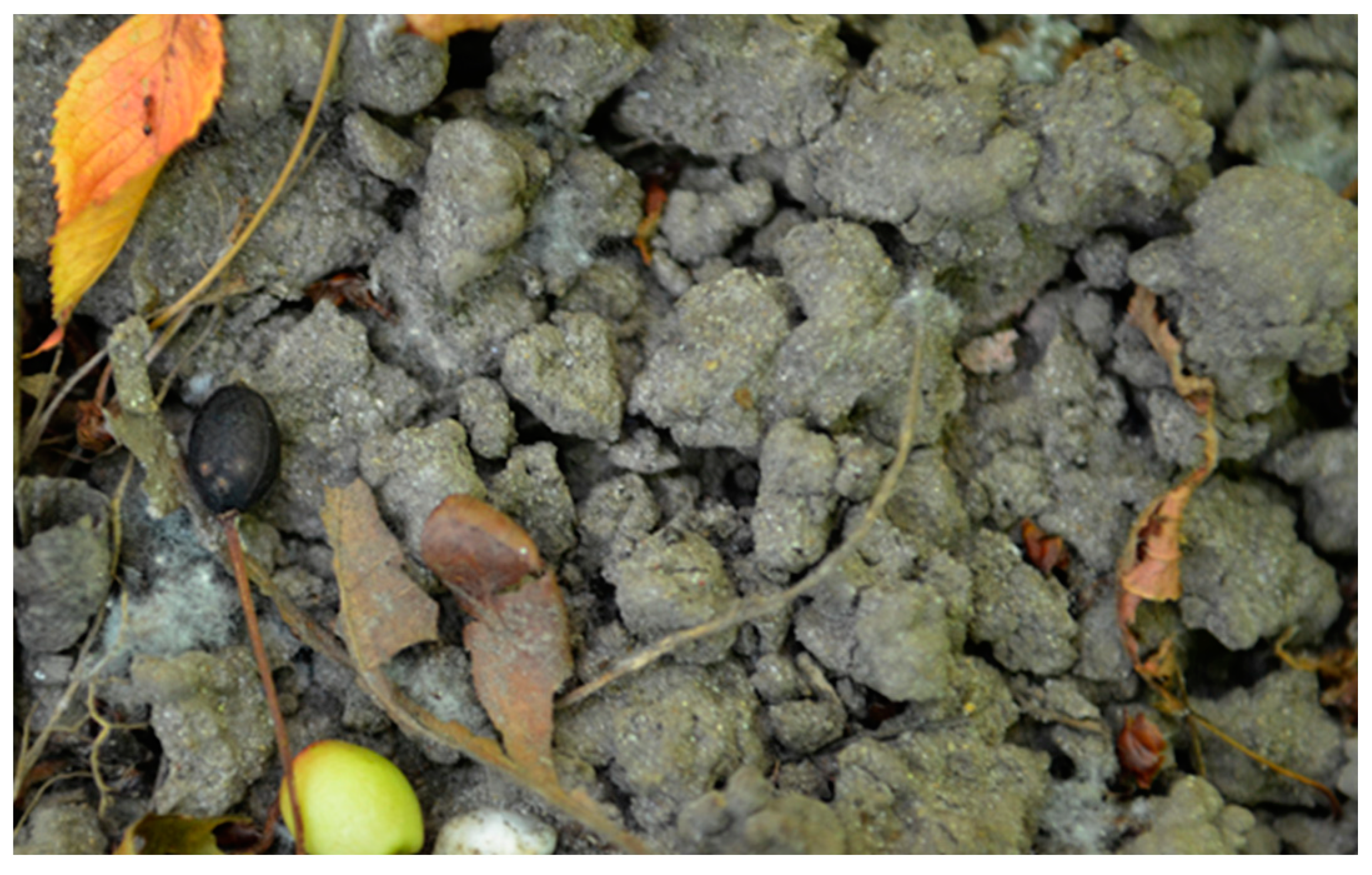 Ijpb 14 00050 g006 Ijpb 14 00050 g006