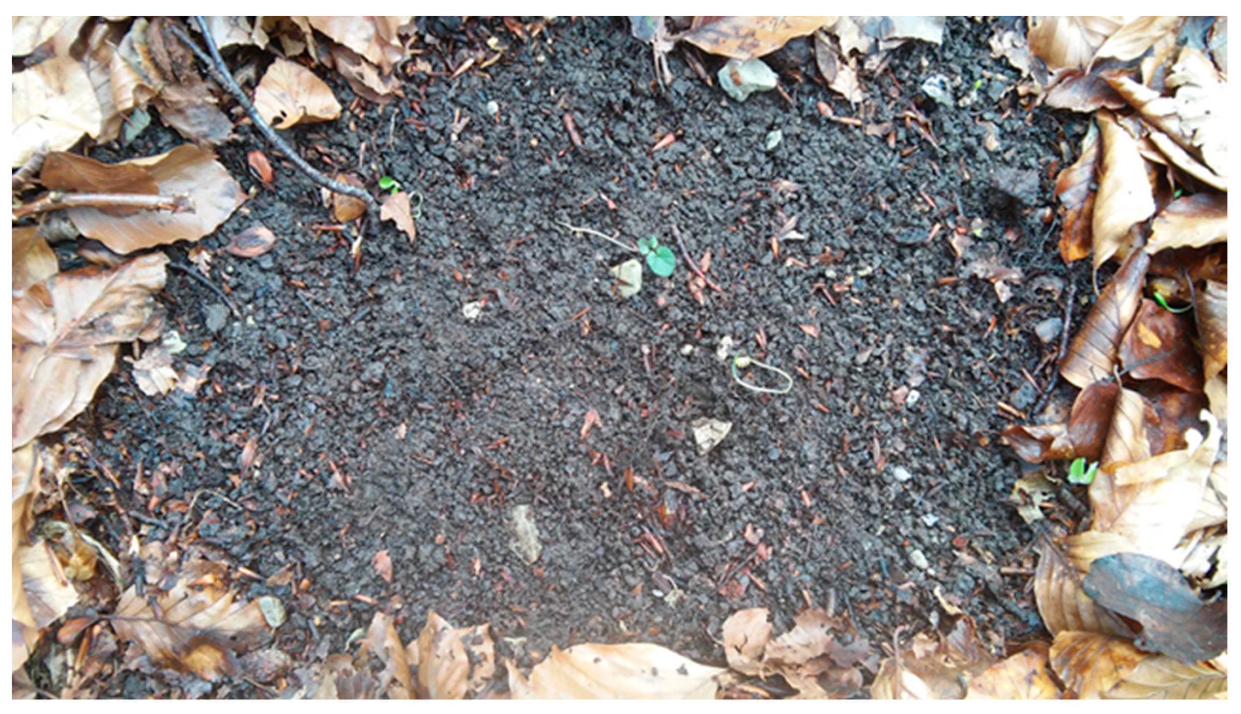 Ijpb 14 00050 g007 Ijpb 14 00050 g007