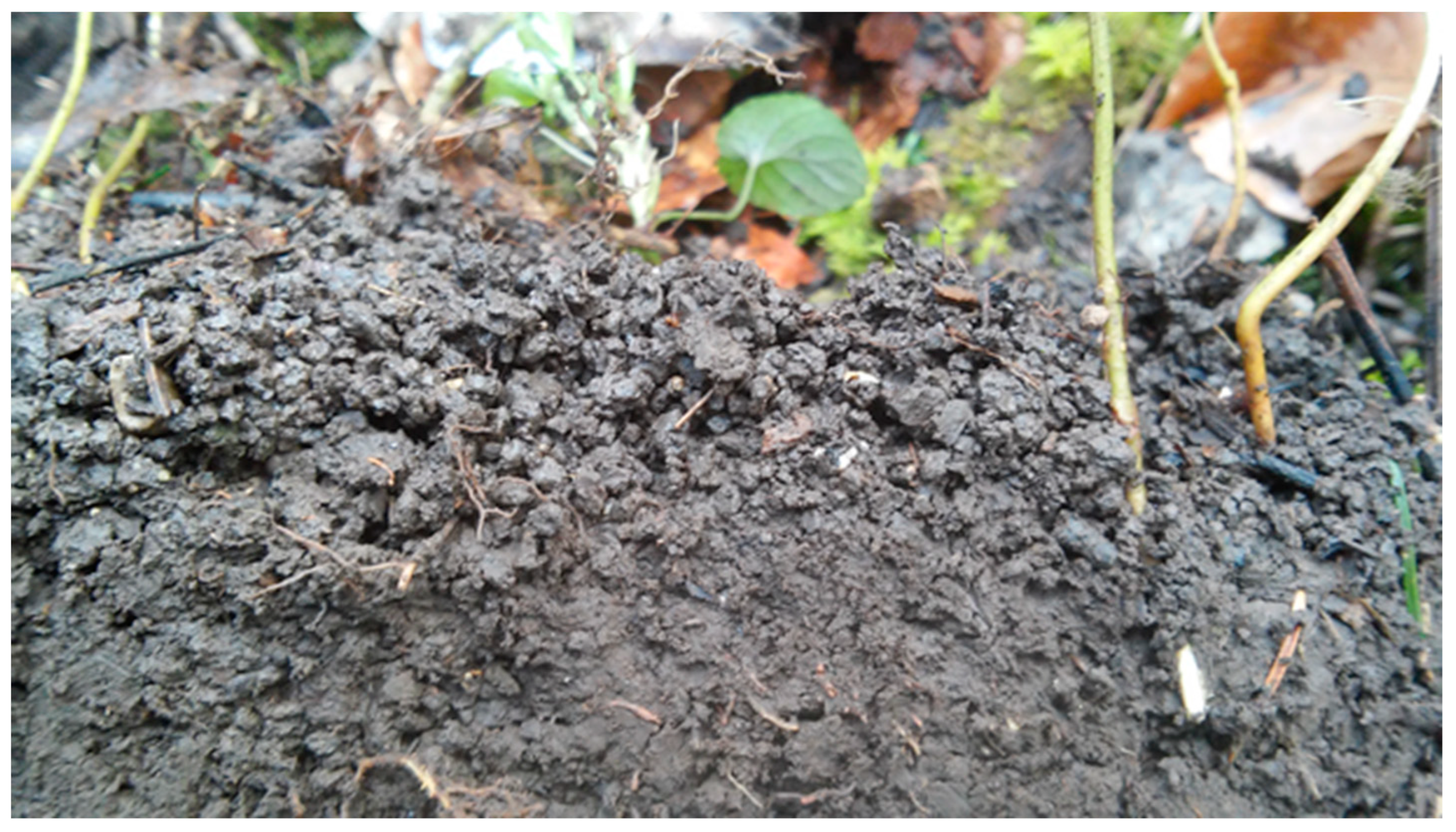 Ijpb 14 00050 g008 Ijpb 14 00050 g008