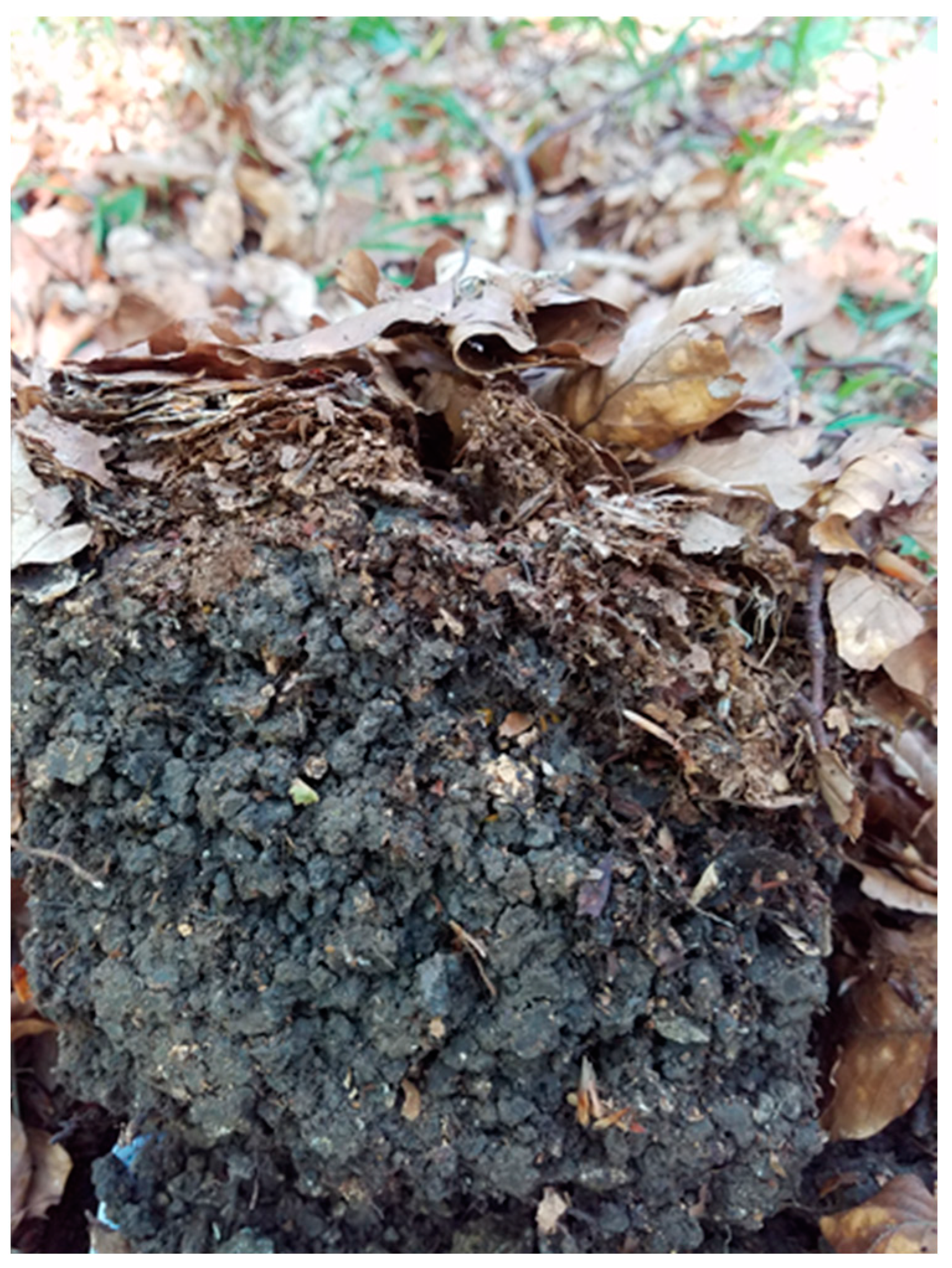 Ijpb 14 00050 g012 Ijpb 14 00050 g012