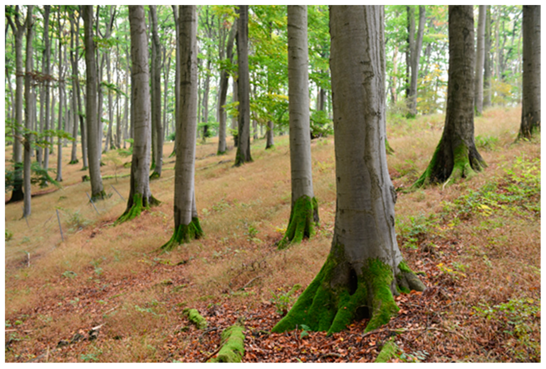 Ijpb 14 00050 g013 Ijpb 14 00050 g013