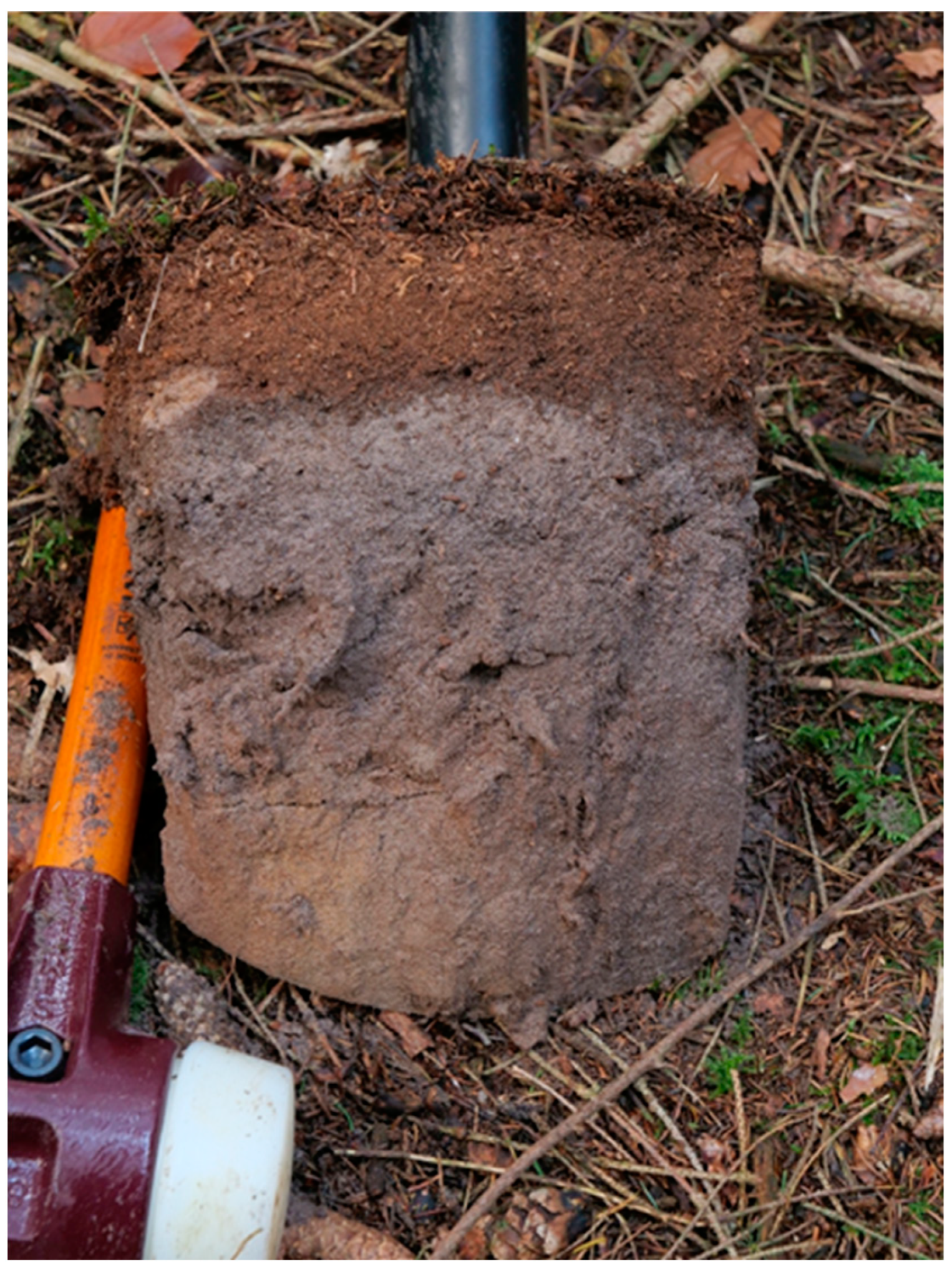 Ijpb 14 00050 g015 Ijpb 14 00050 g015