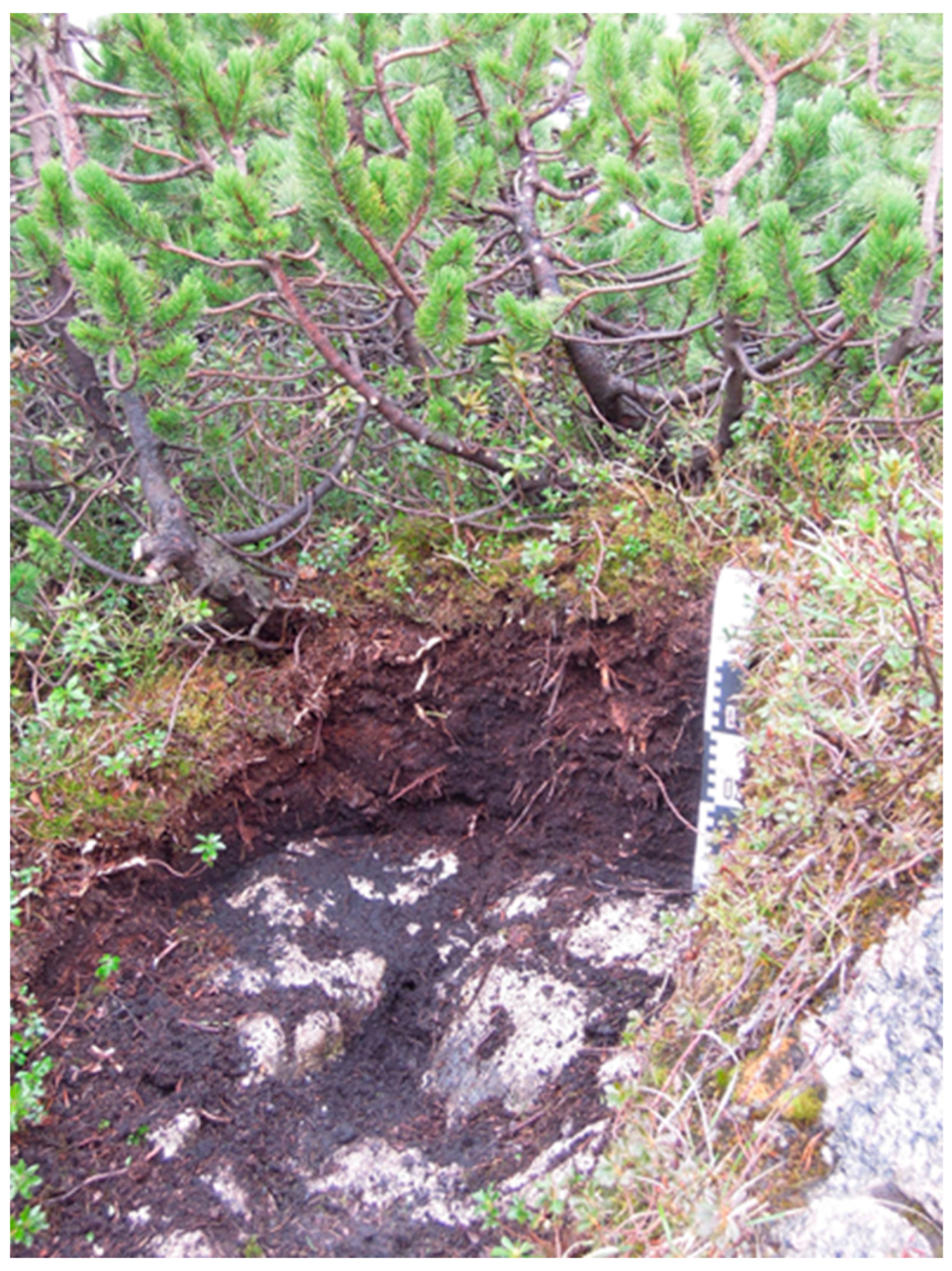 Ijpb 14 00050 g016 Ijpb 14 00050 g016