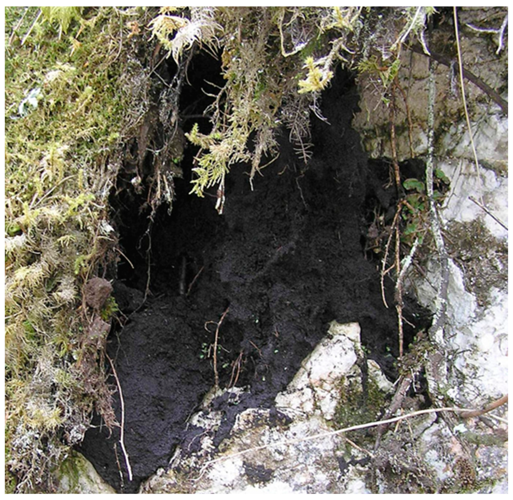 Ijpb 14 00050 g017 Ijpb 14 00050 g017