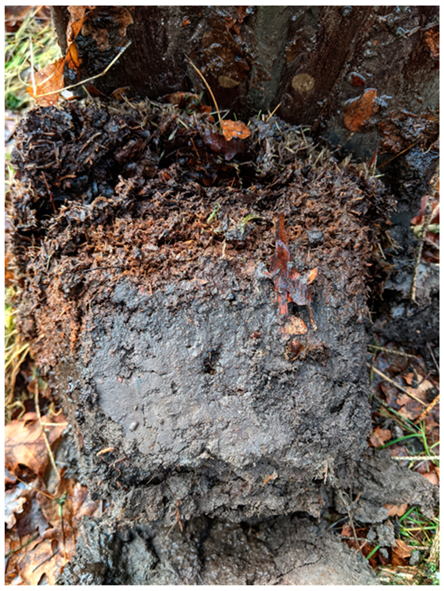 Ijpb 14 00050 g018 Ijpb 14 00050 g018