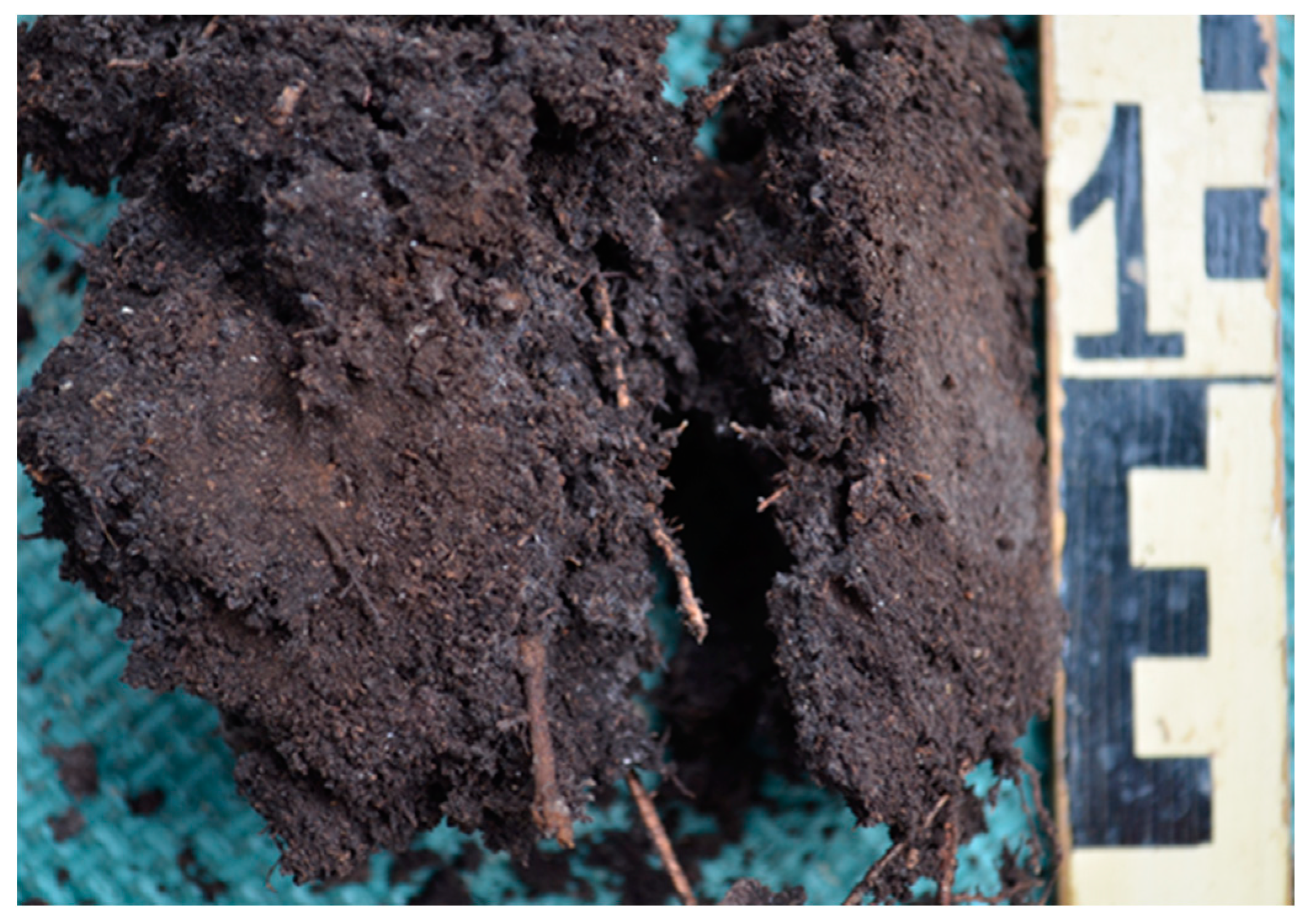 Ijpb 14 00050 g019 Ijpb 14 00050 g019