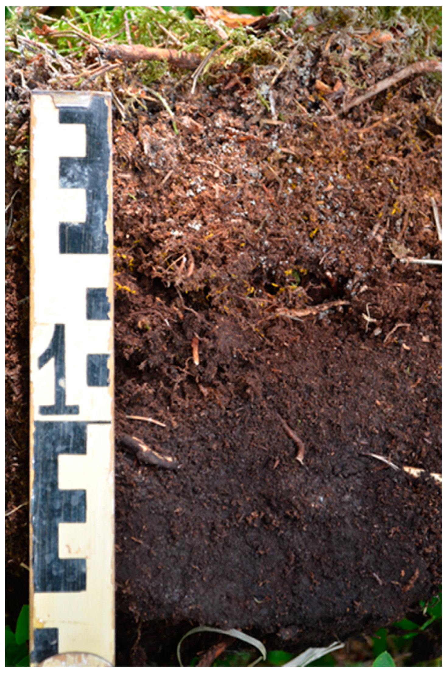 Ijpb 14 00050 g020 Ijpb 14 00050 g020