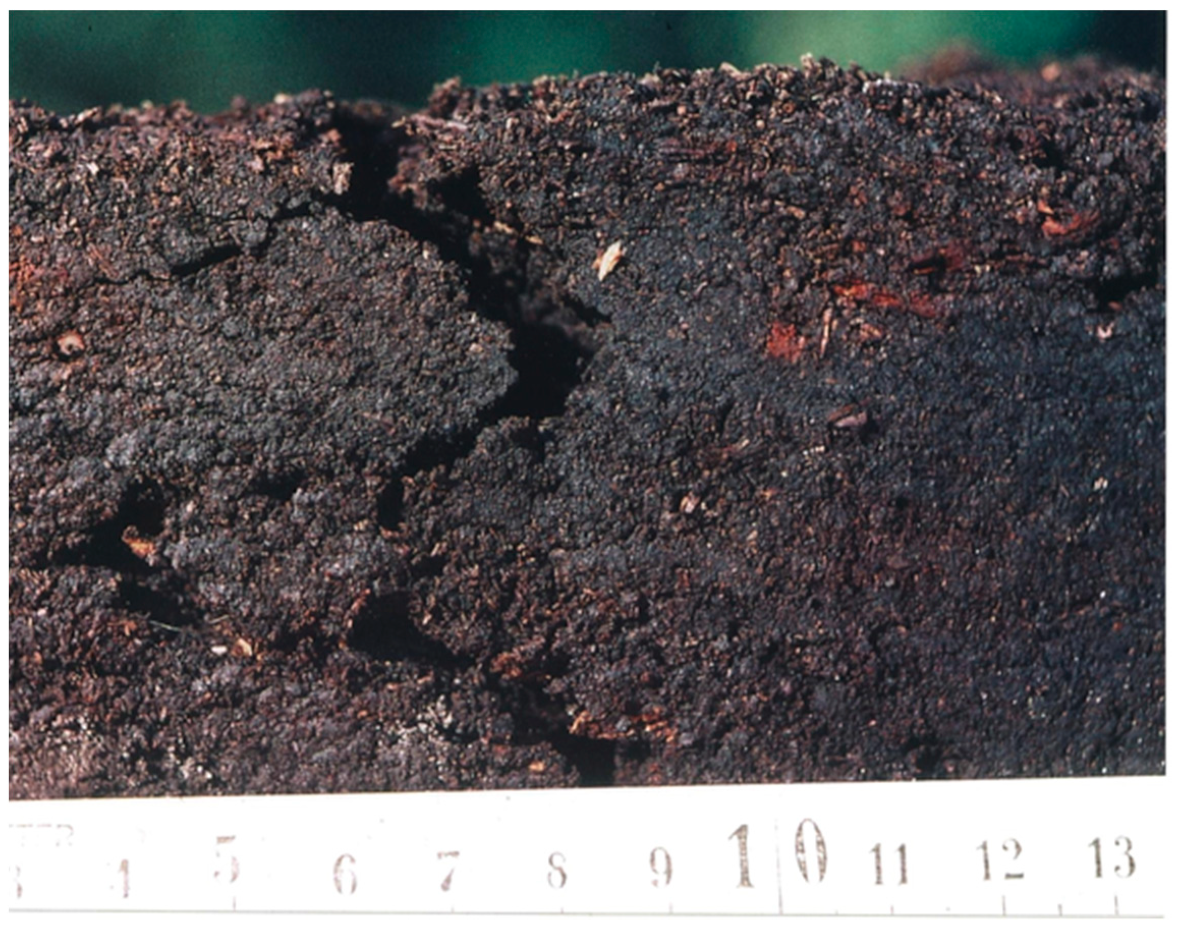 Ijpb 14 00050 g021 Ijpb 14 00050 g021