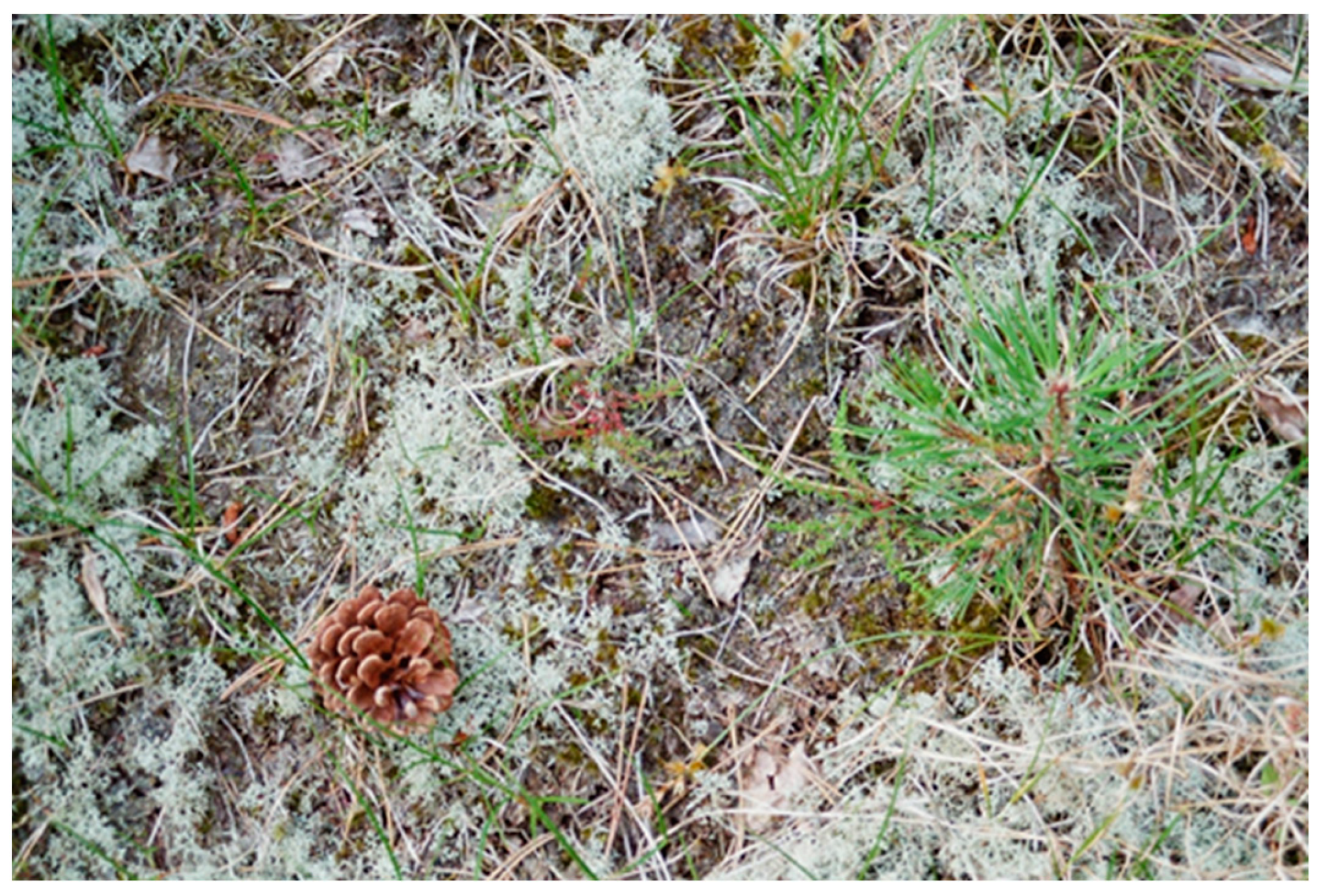 Ijpb 14 00050 g022 Ijpb 14 00050 g022