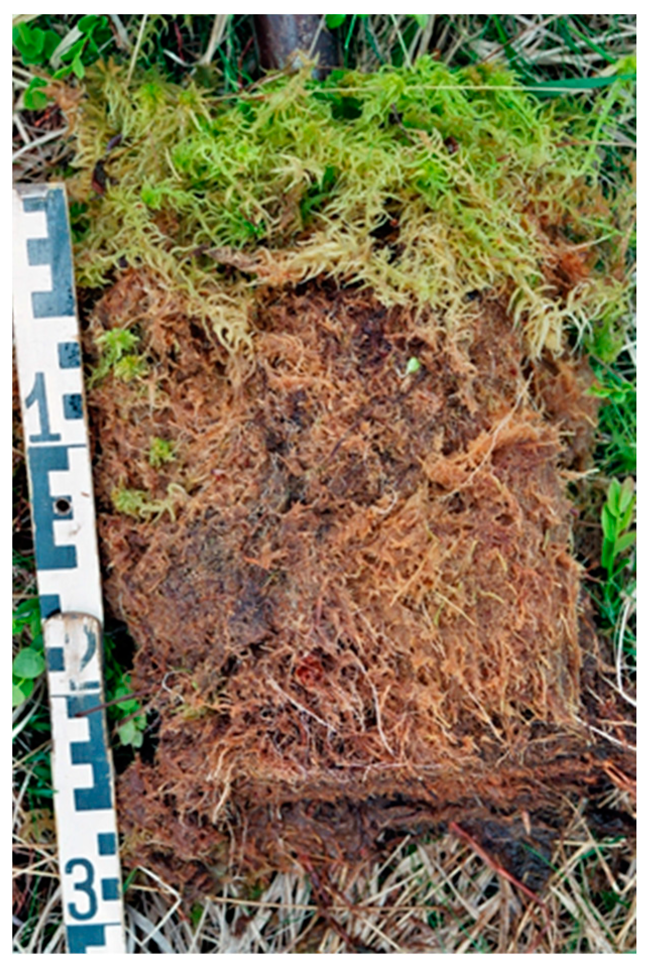 Ijpb 14 00050 g023 Ijpb 14 00050 g023